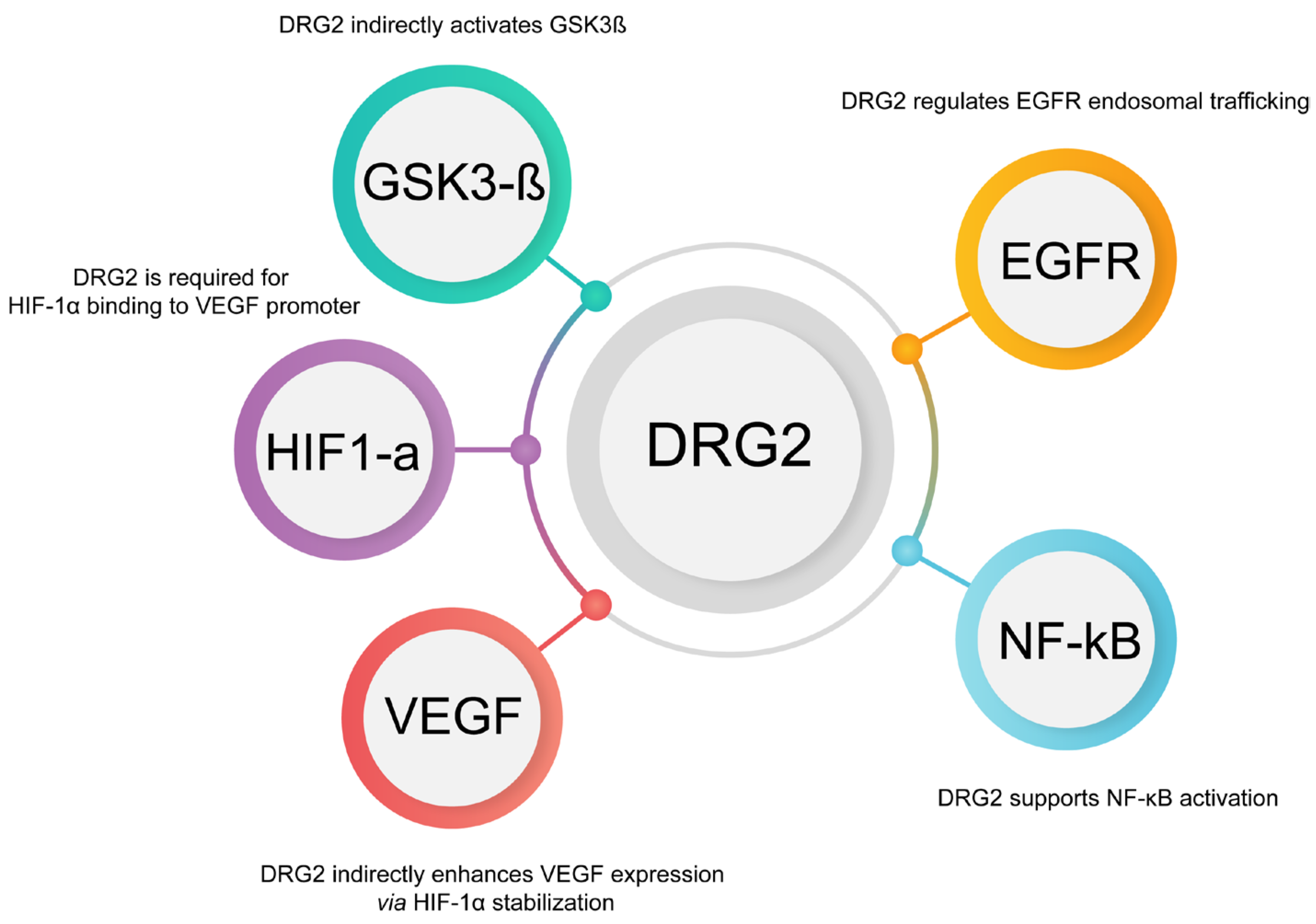 Cancers 17 01747 g003