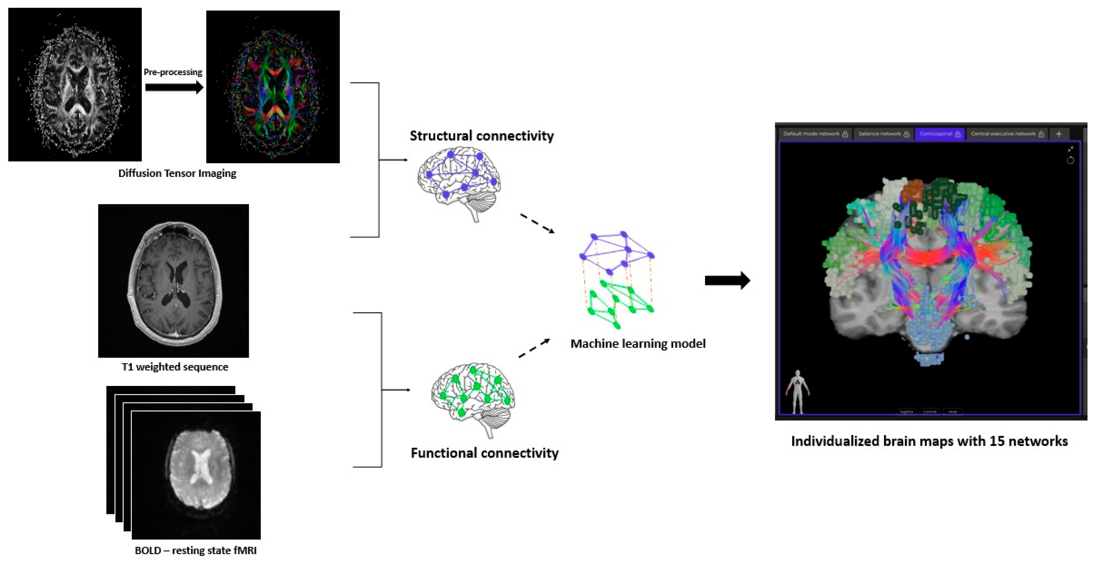 Cancers 17 01752 g001