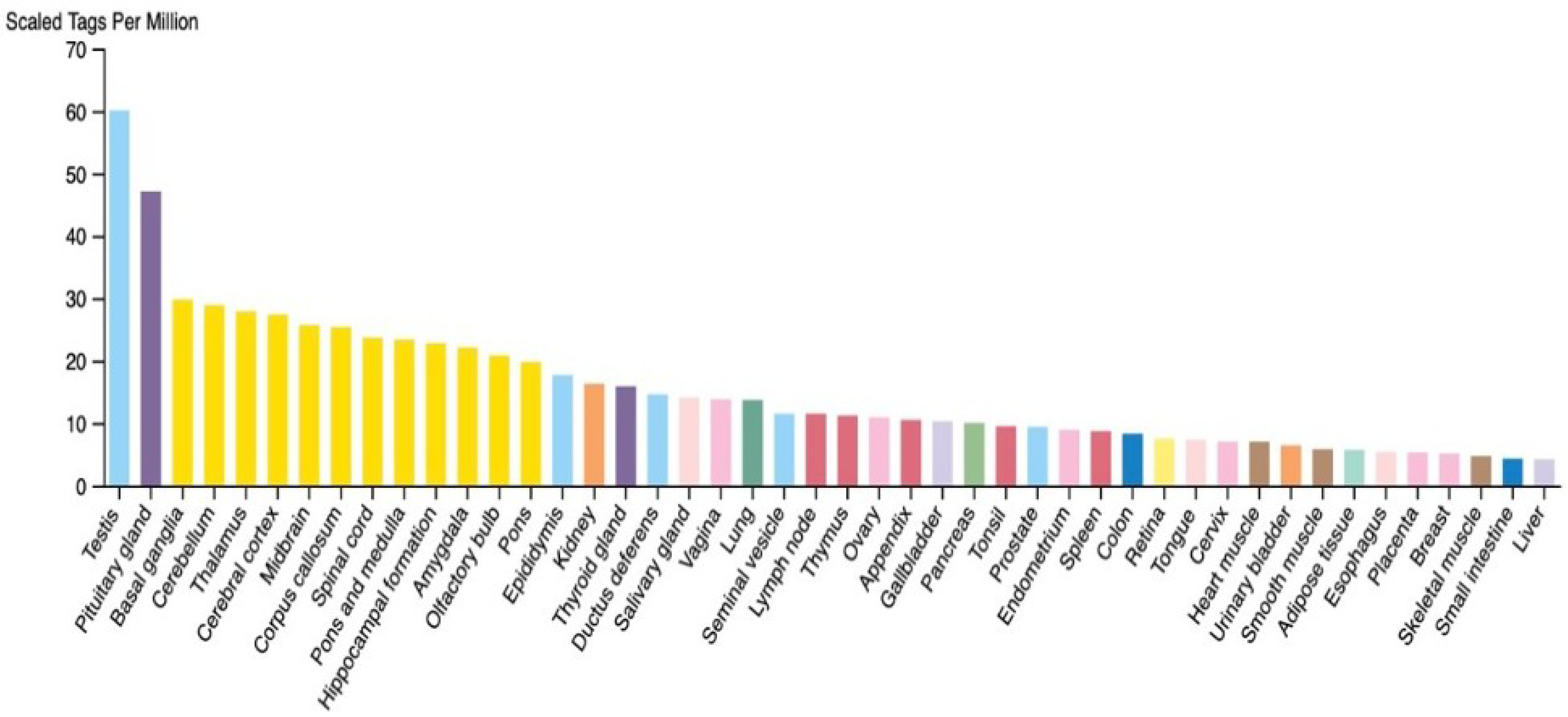 Cancers 17 01756 g001