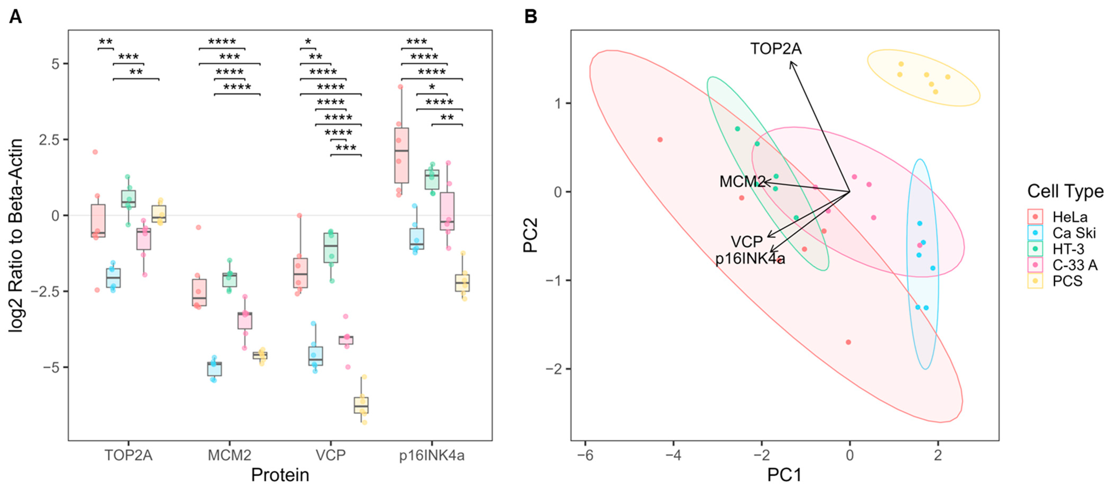Cancers 17 01763 g002 Cancers 17 01763 g002