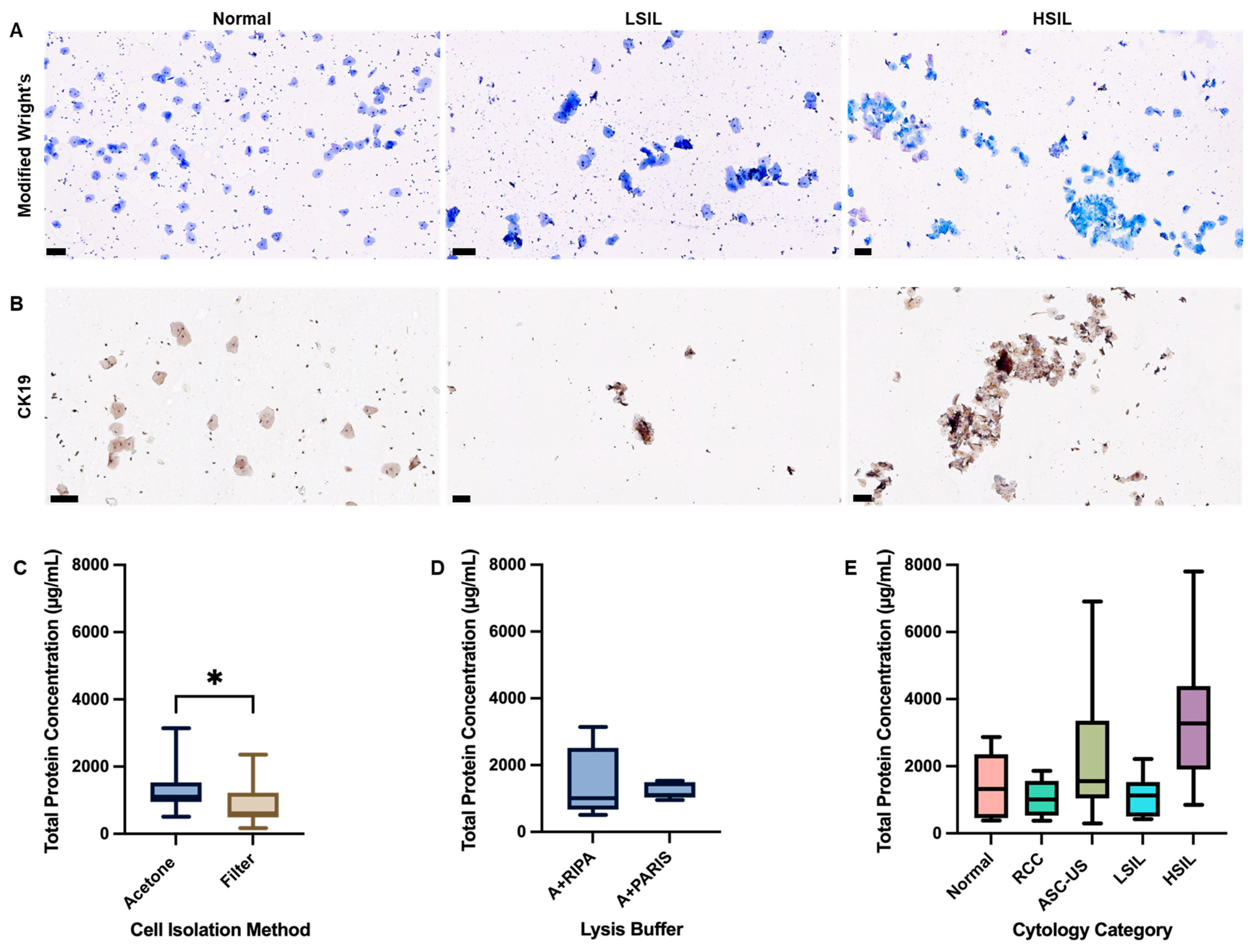 Cancers 17 01763 g003 Cancers 17 01763 g003