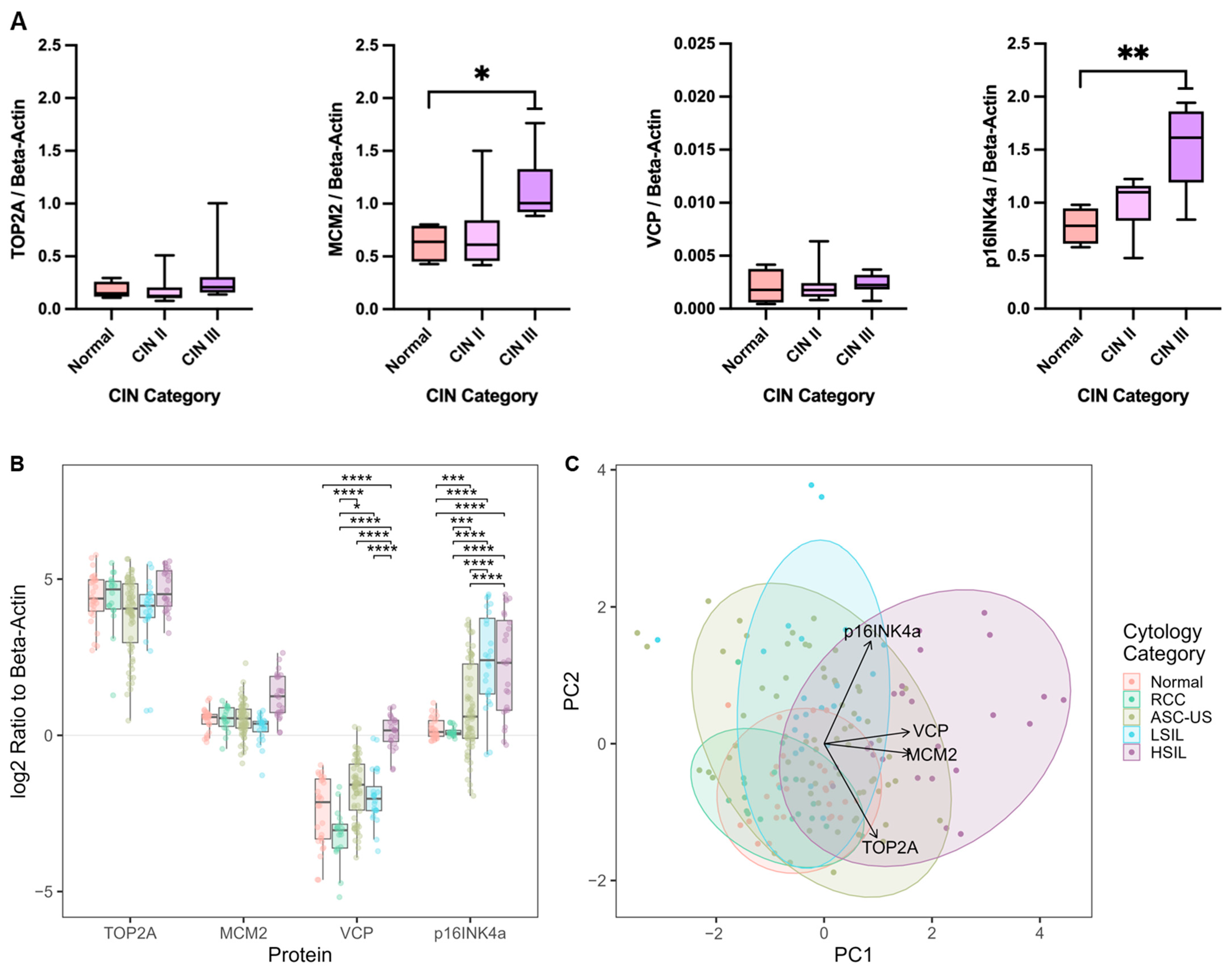 Cancers 17 01763 g004 Cancers 17 01763 g004