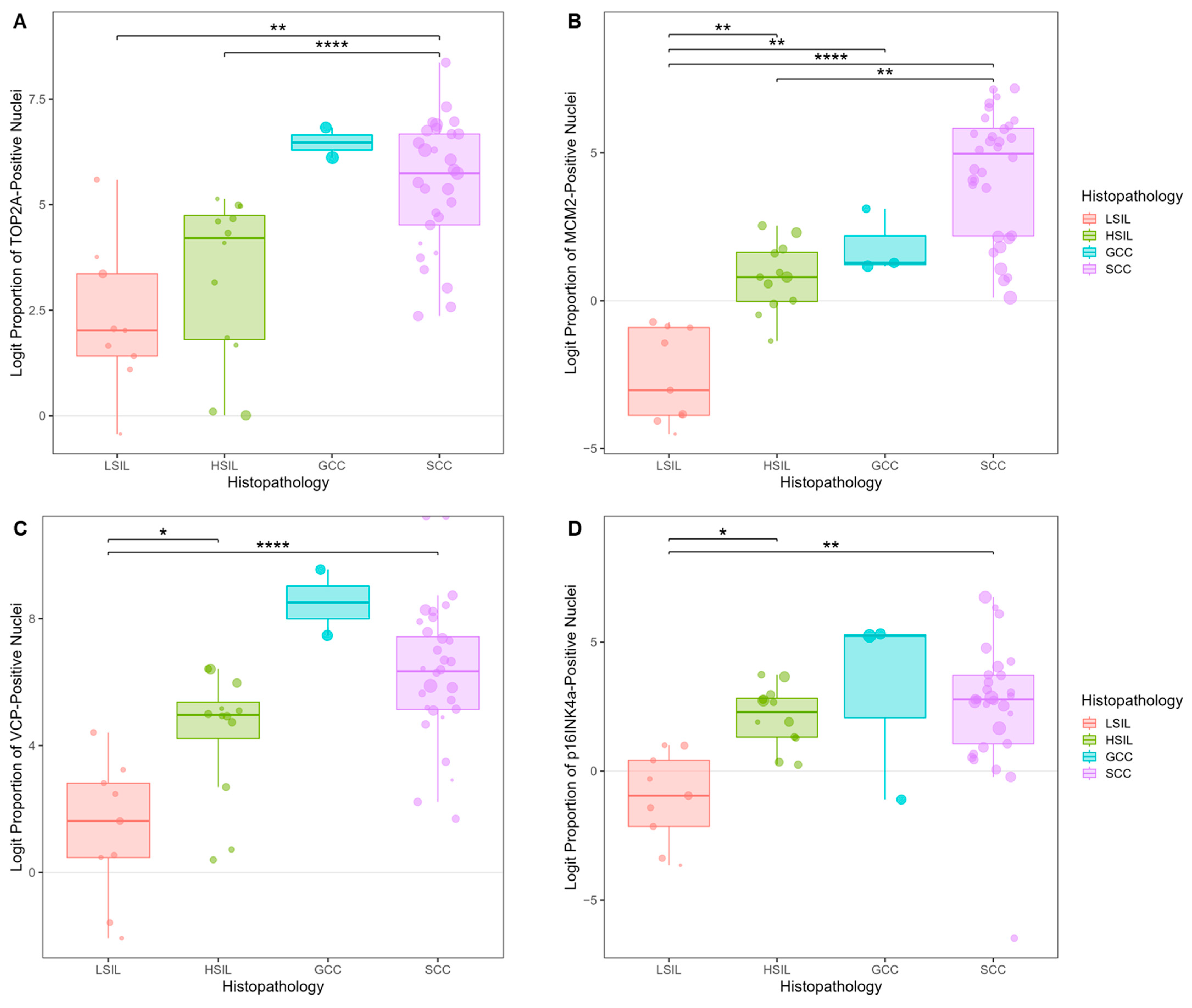 Cancers 17 01763 g006a Cancers 17 01763 g006a