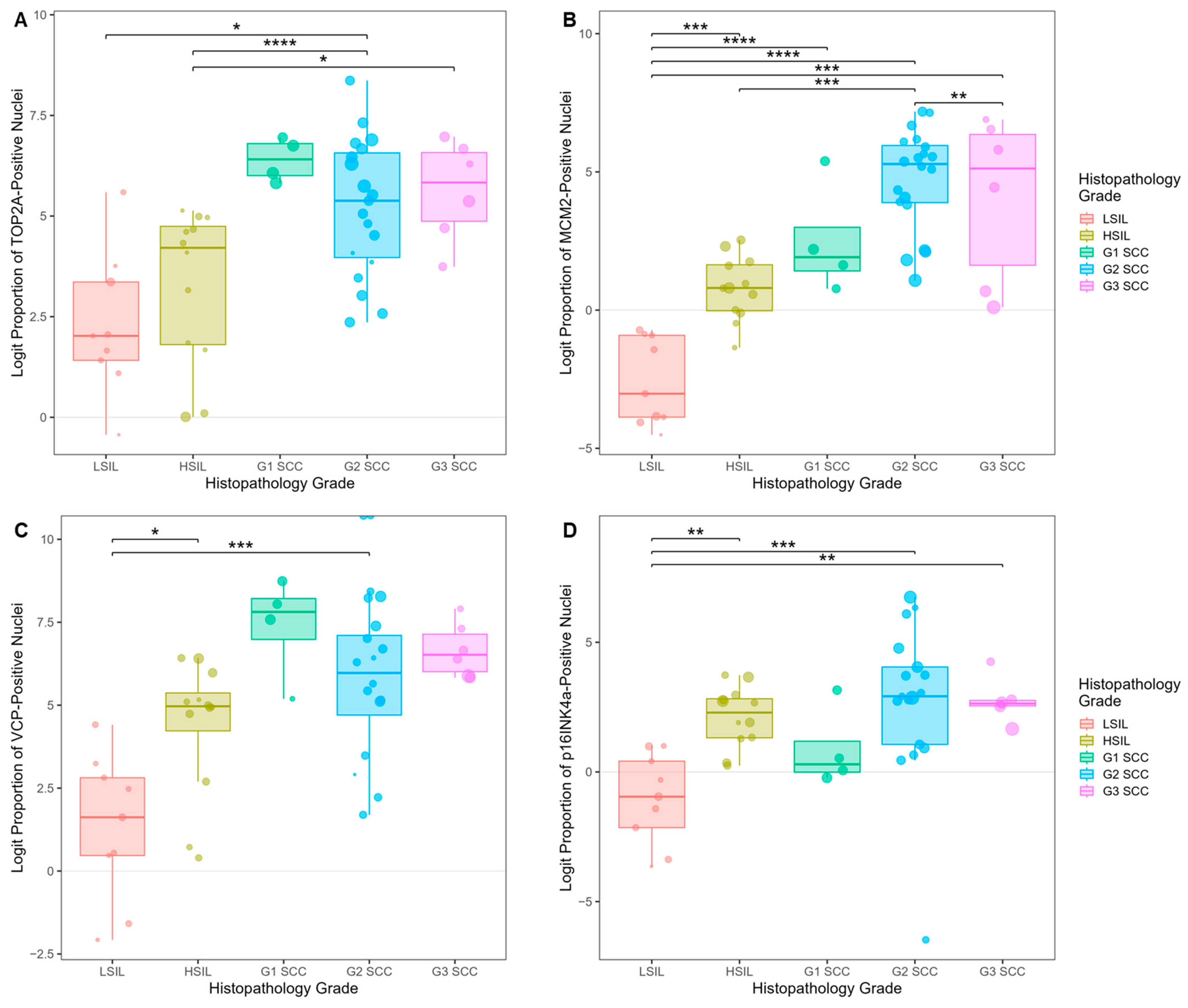 Cancers 17 01763 g007a Cancers 17 01763 g007a