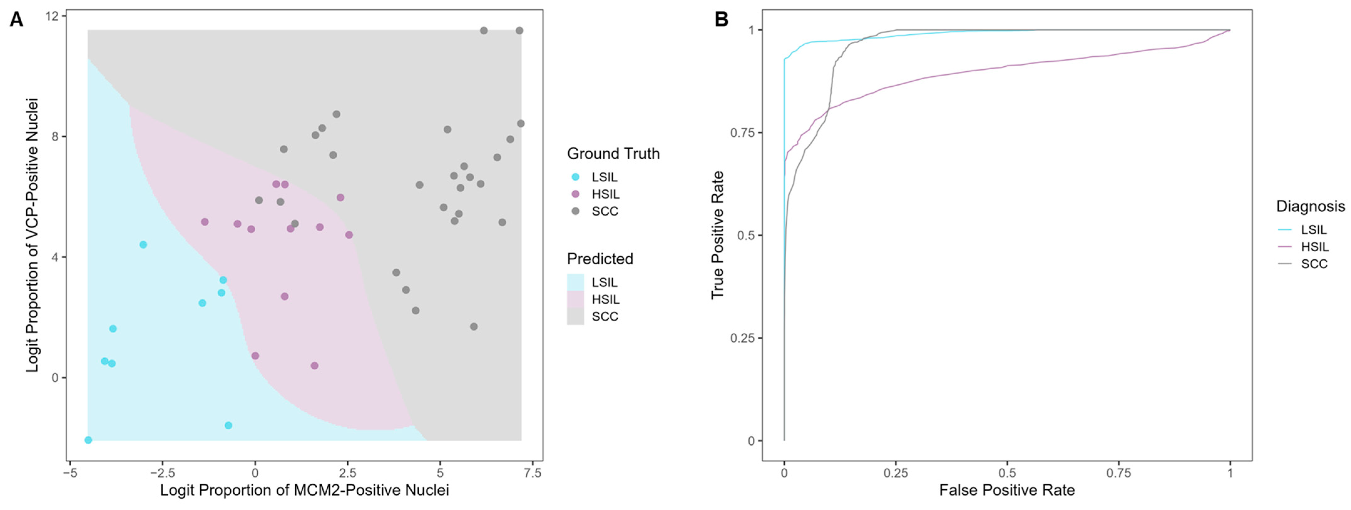 Cancers 17 01763 g008 Cancers 17 01763 g008