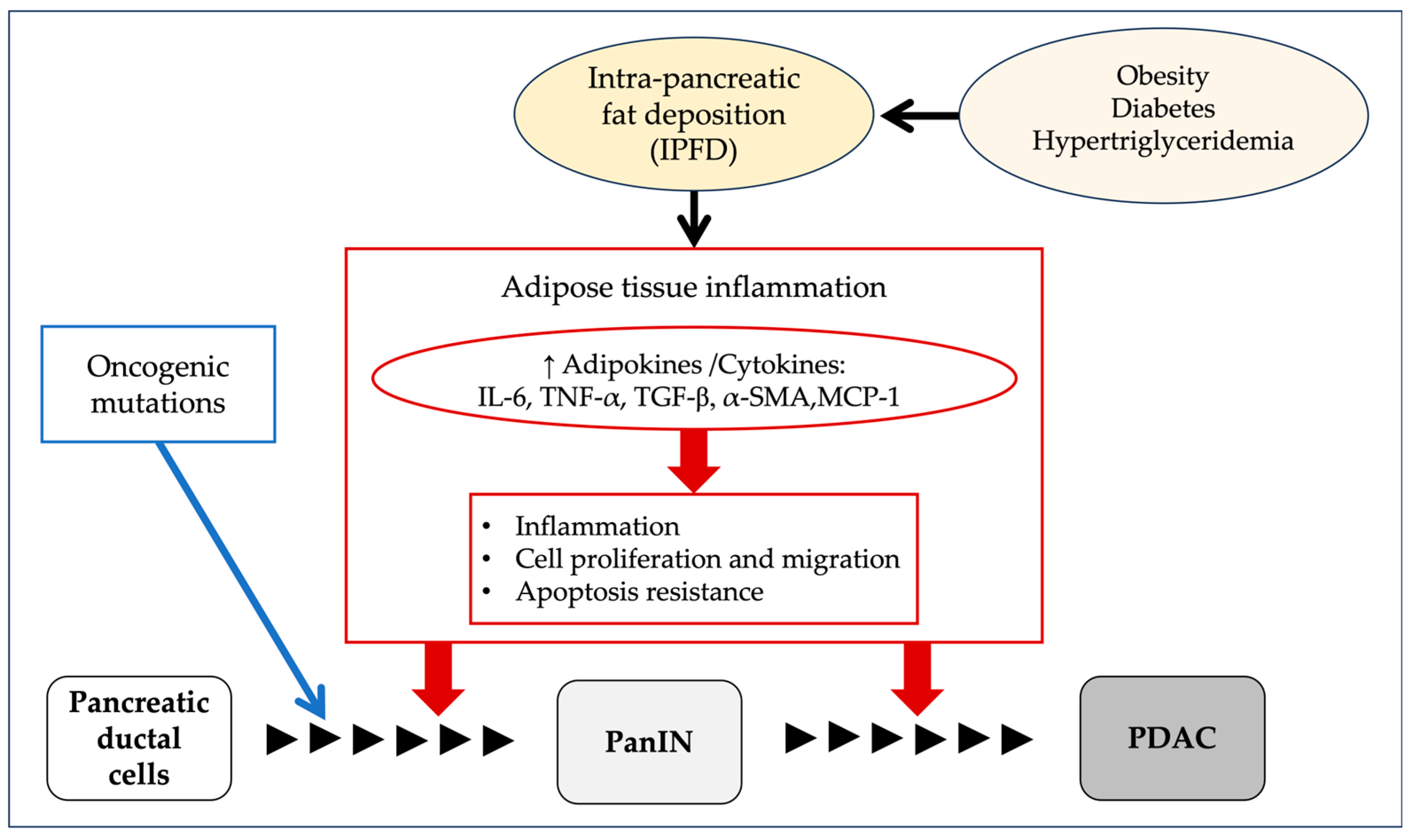 Cancers 17 01765 g005