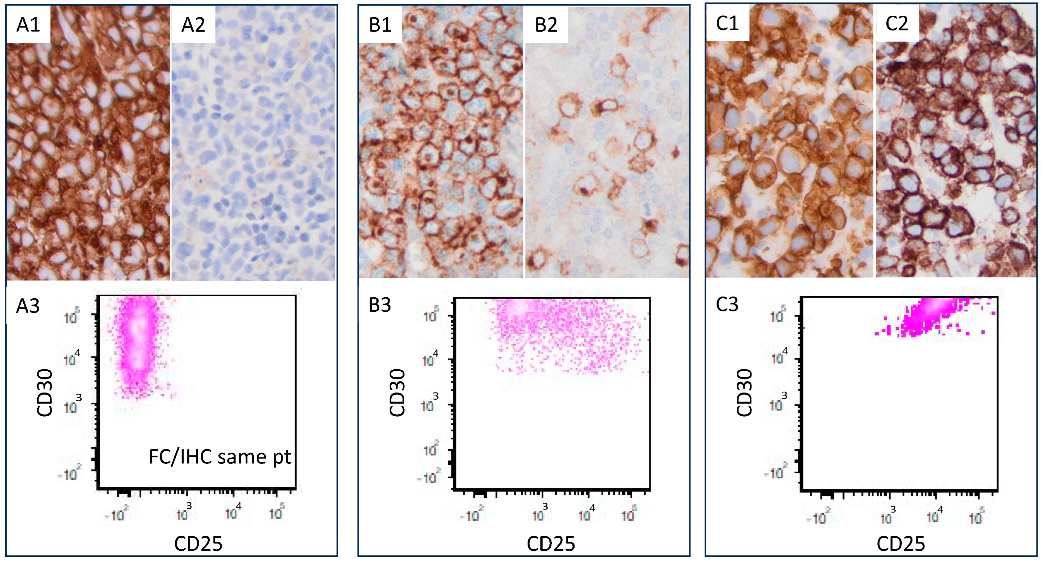 Cancers 17 01767 g005