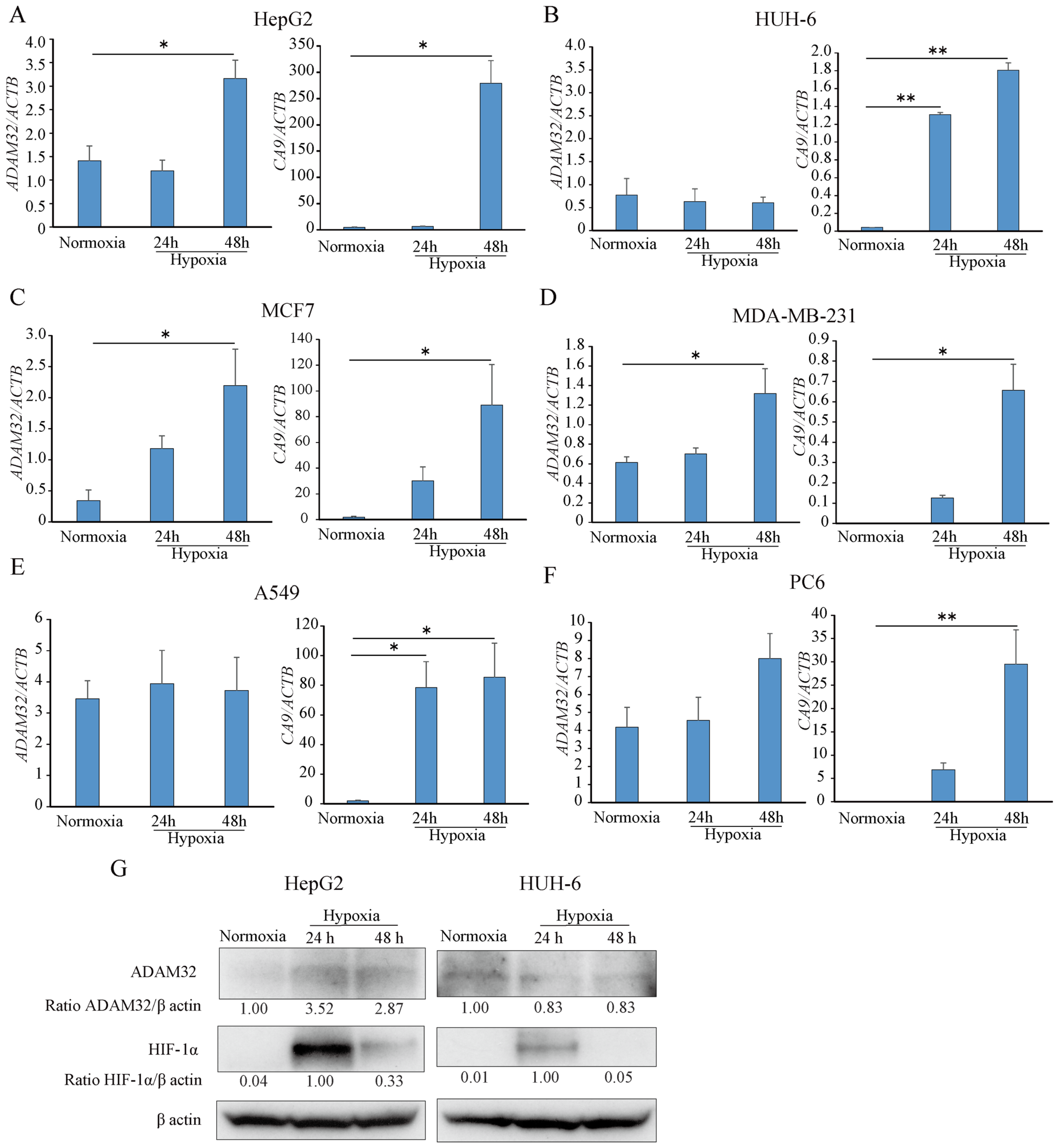 Cancers 17 01772 g001