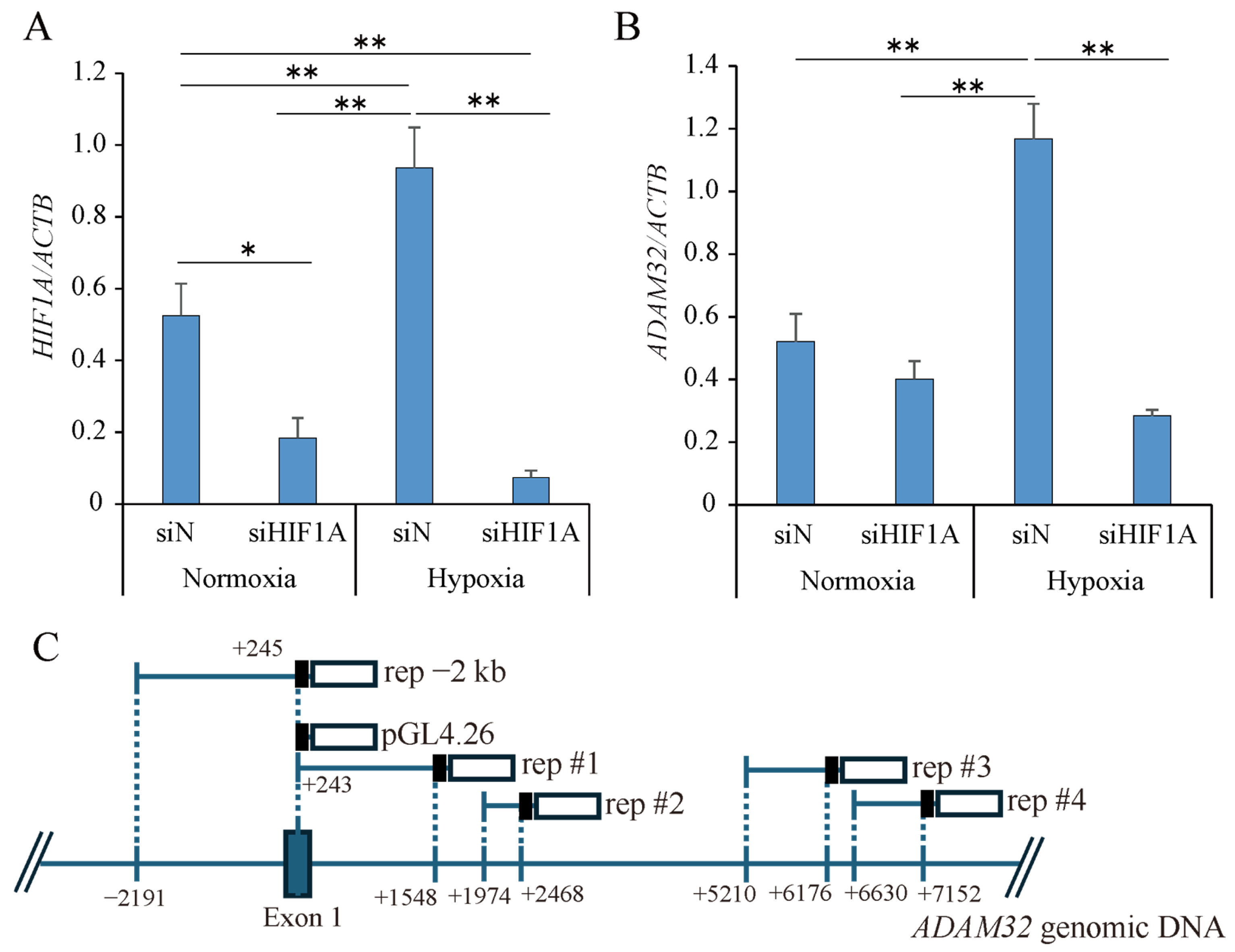 Cancers 17 01772 g002a