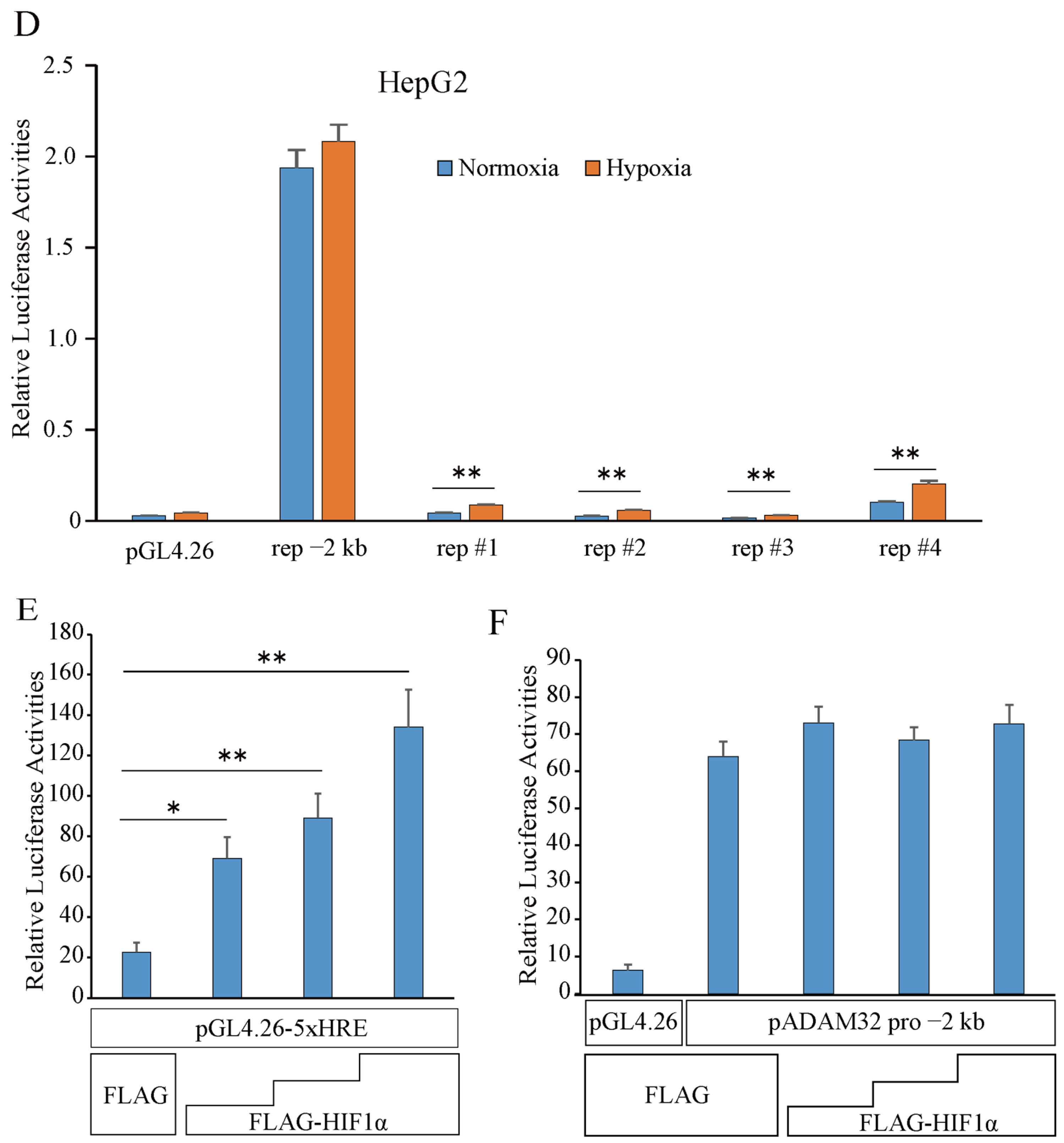 Cancers 17 01772 g002b