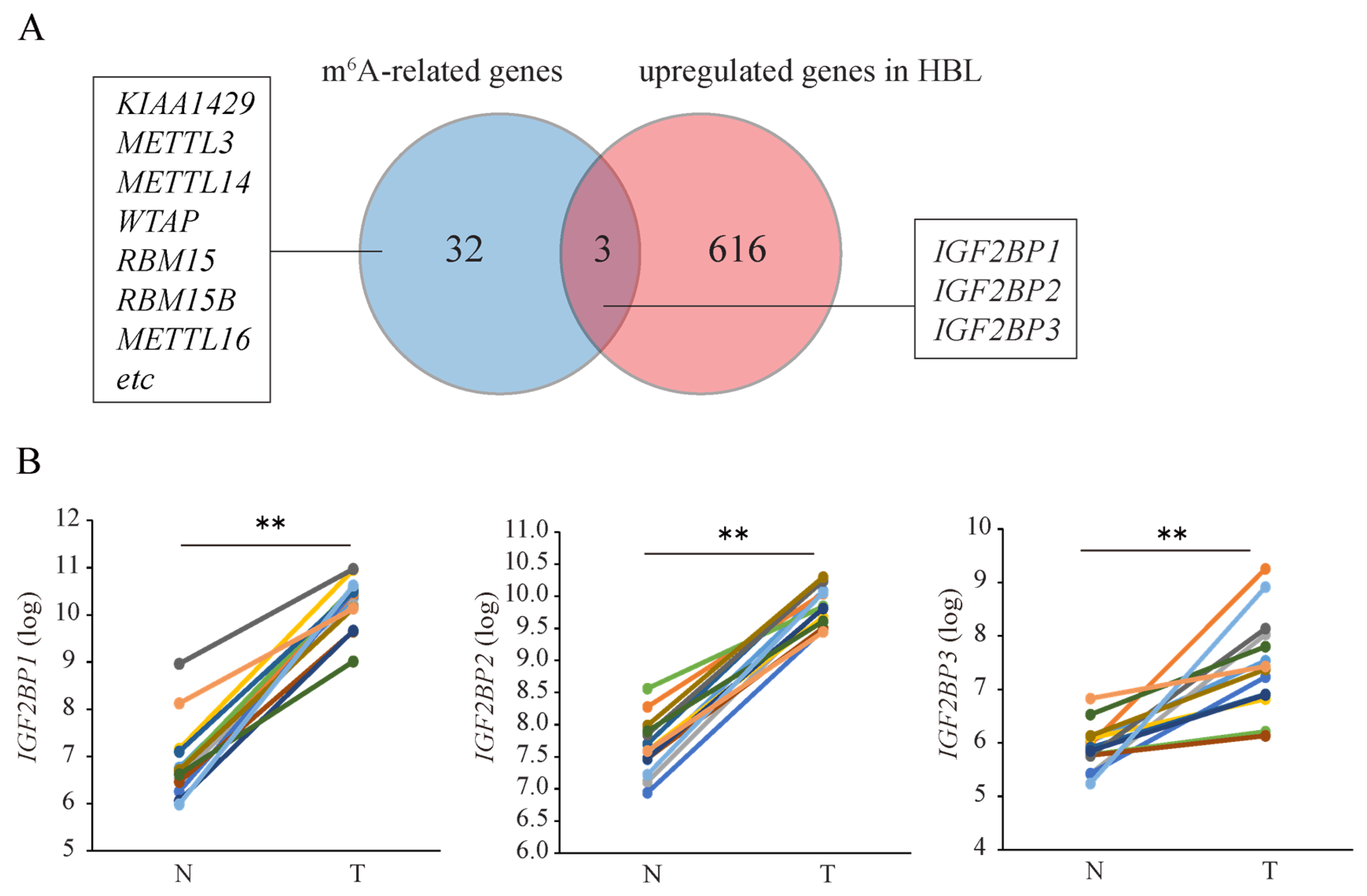 Cancers 17 01772 g004a