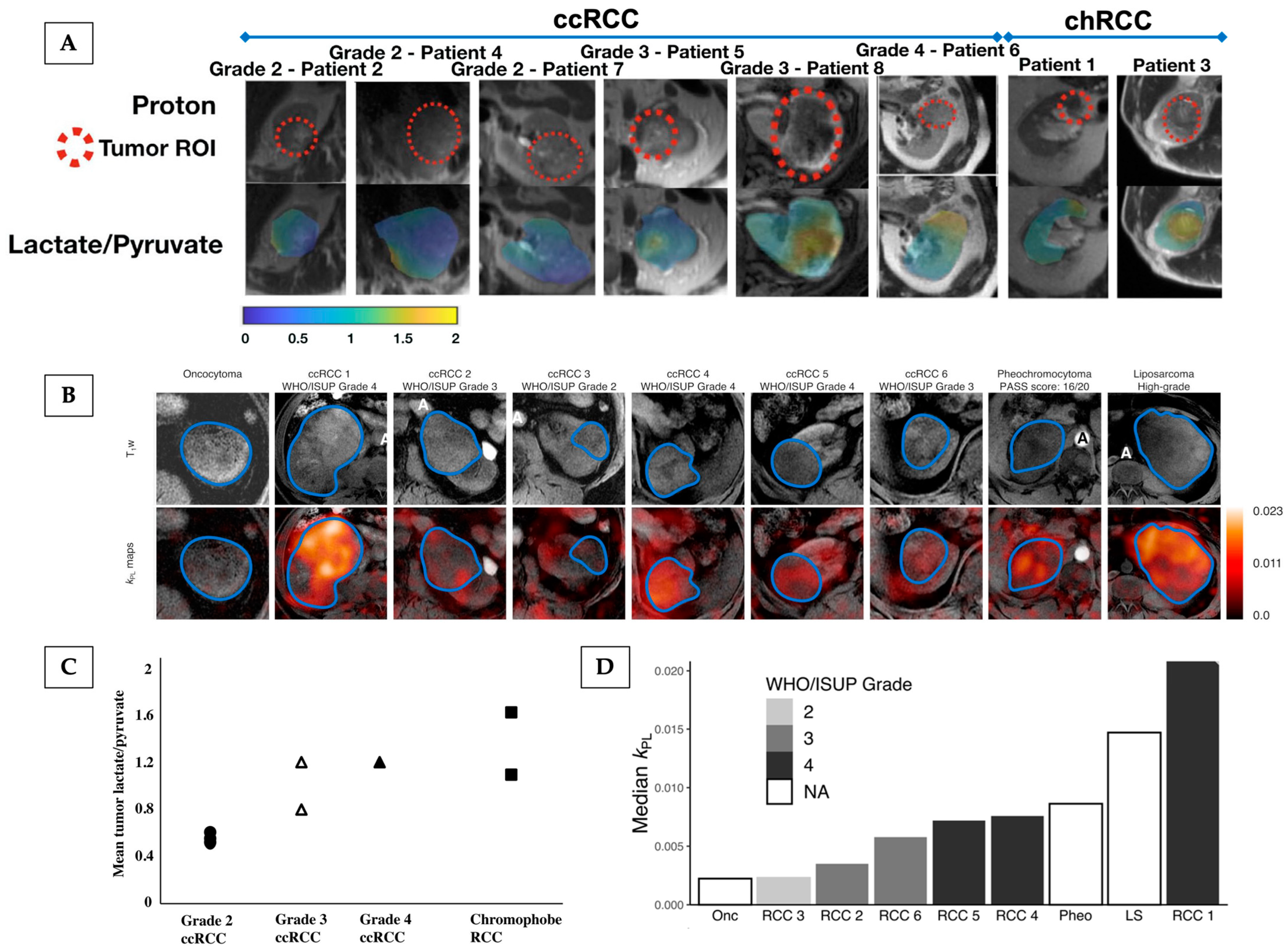 Cancers 17 01773 g004