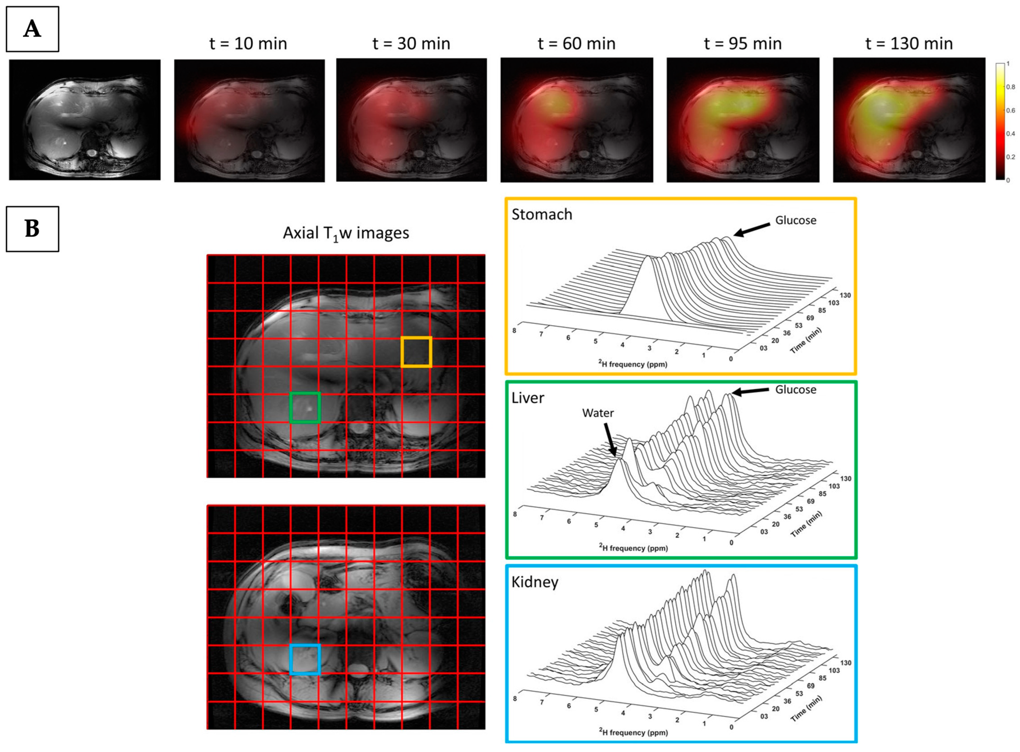 Cancers 17 01773 g005