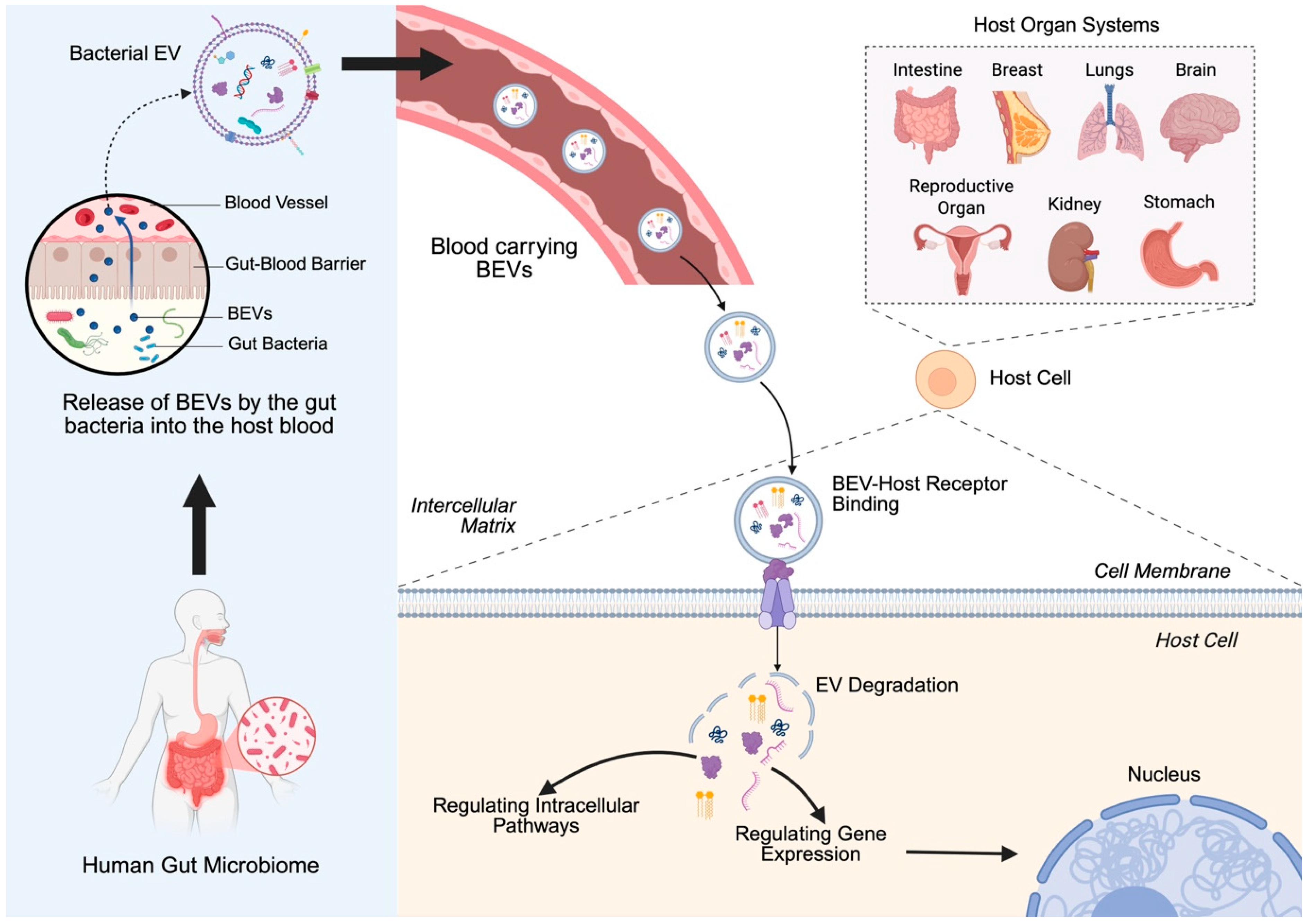 Cancers 17 01774 g001