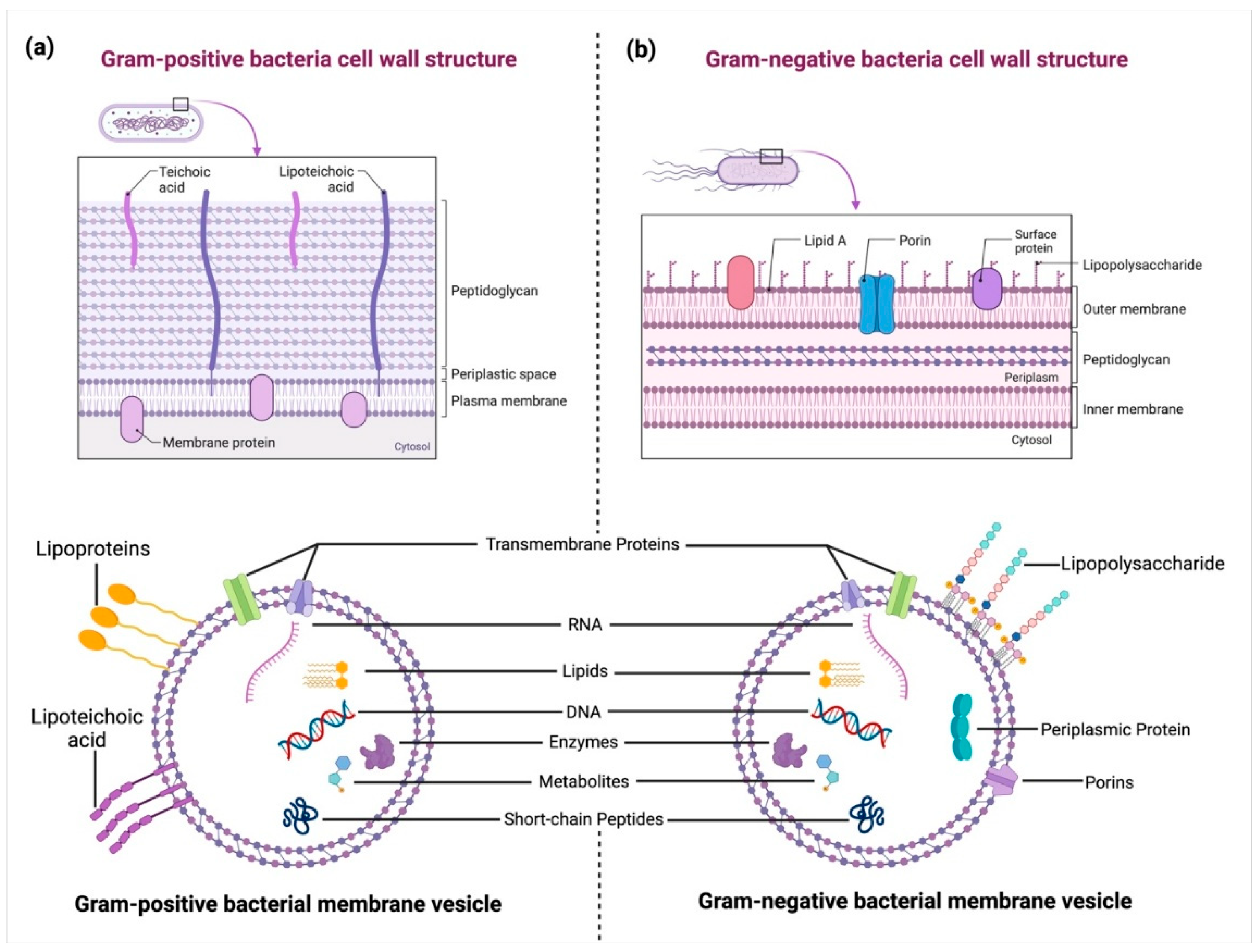 Cancers 17 01774 g002