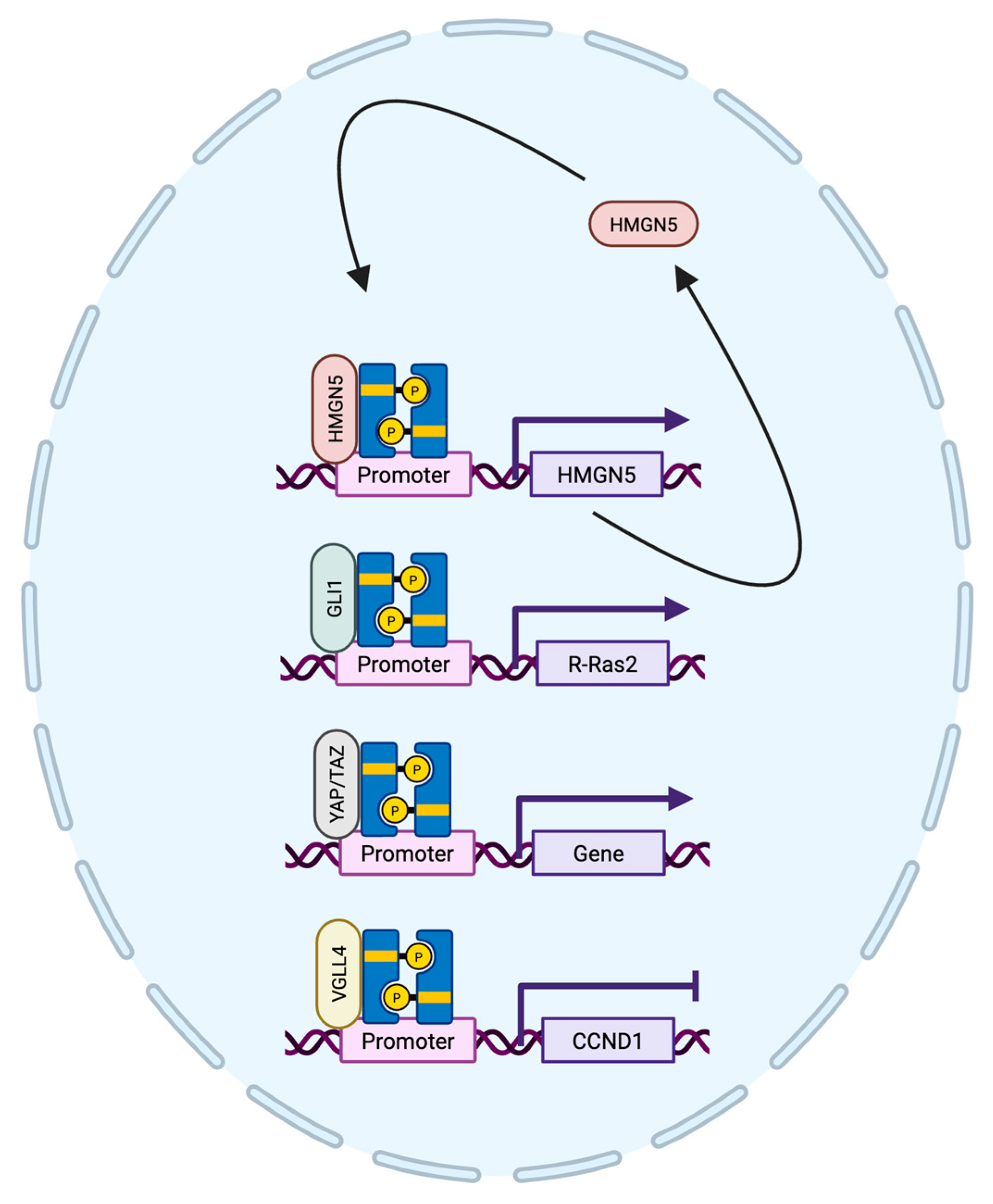 Cancers 17 01781 g004