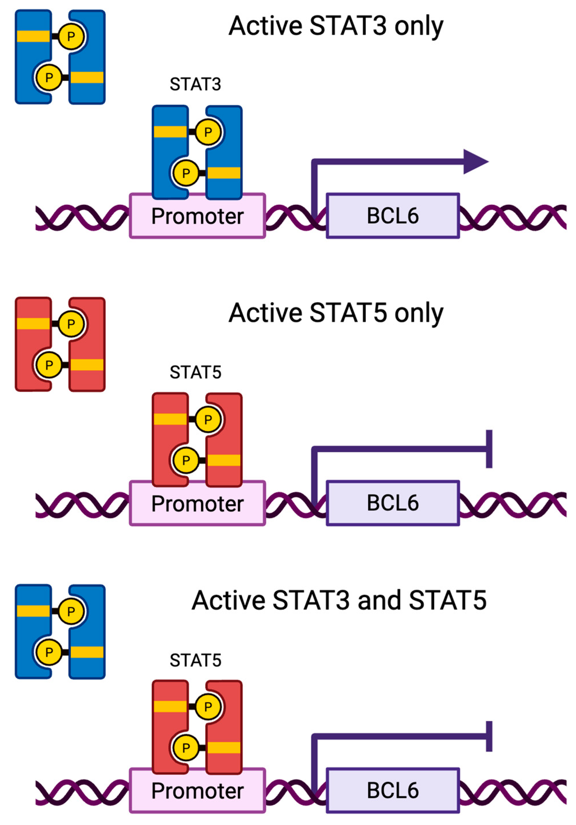 Cancers 17 01781 g005