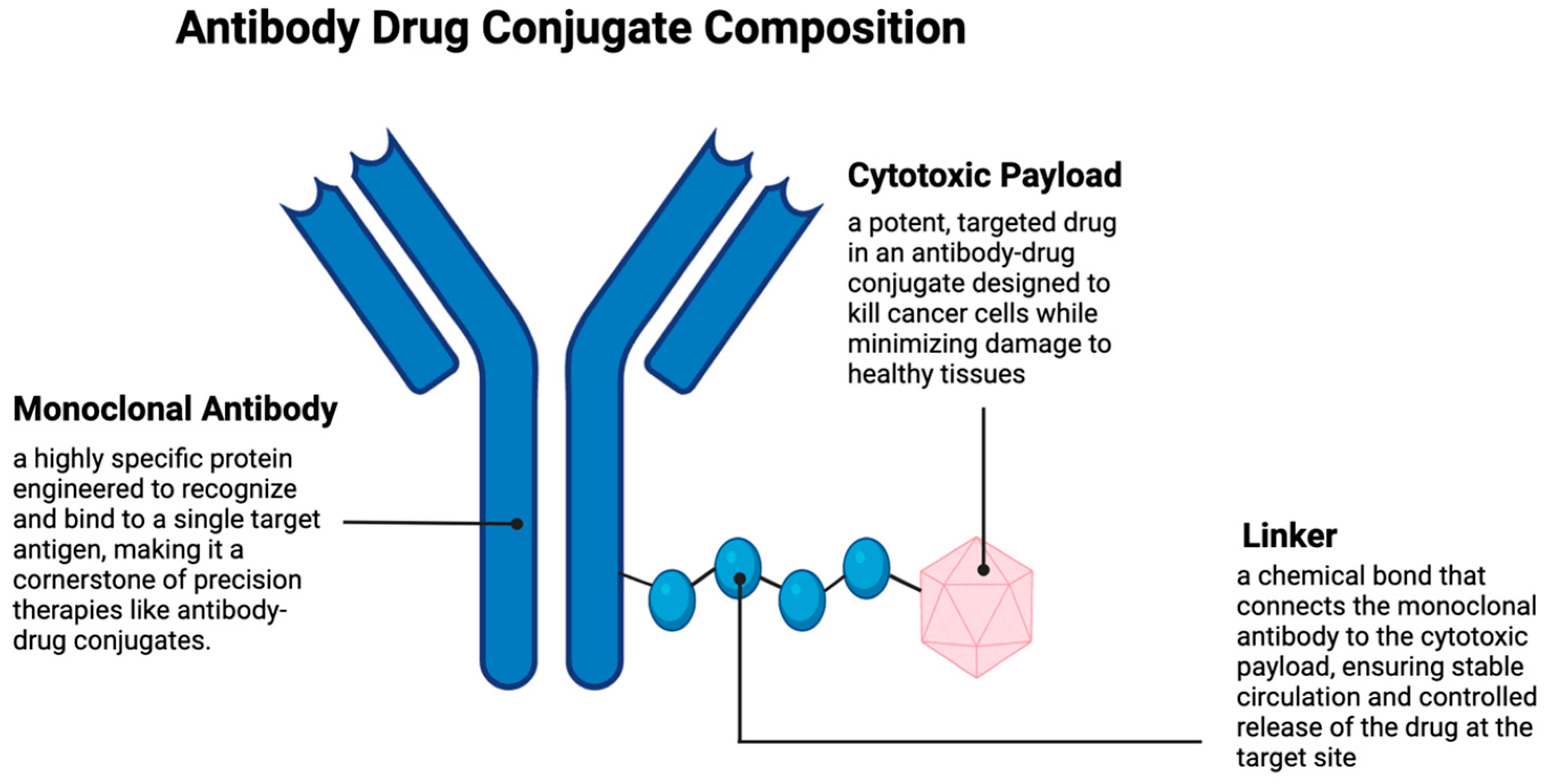 Cancers 17 01792 g002