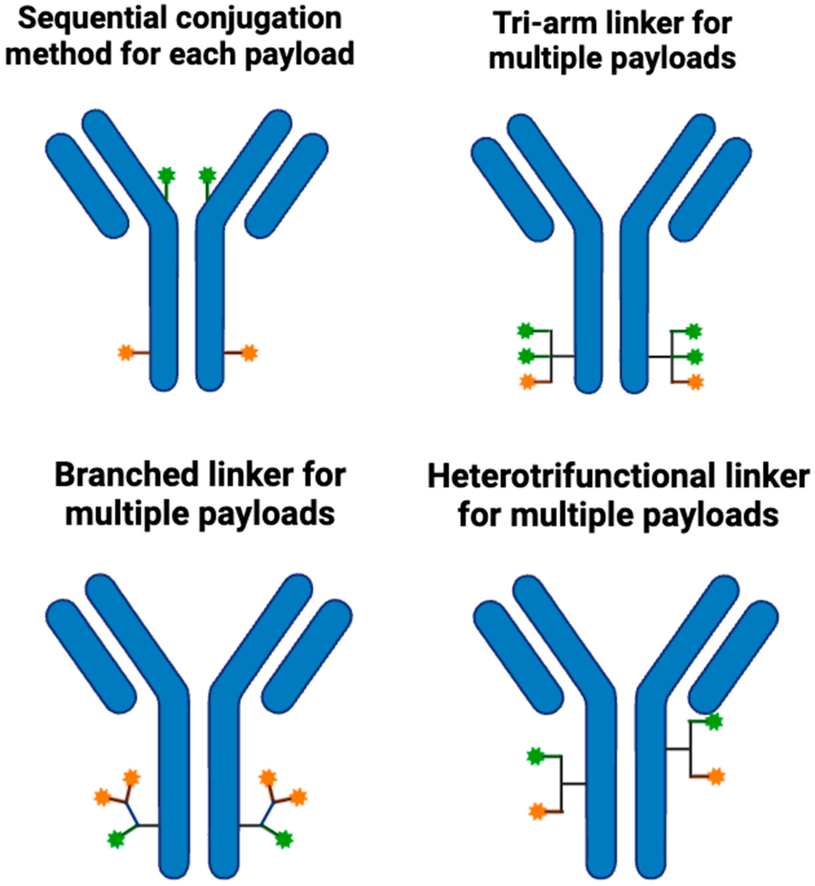 Cancers 17 01792 g004