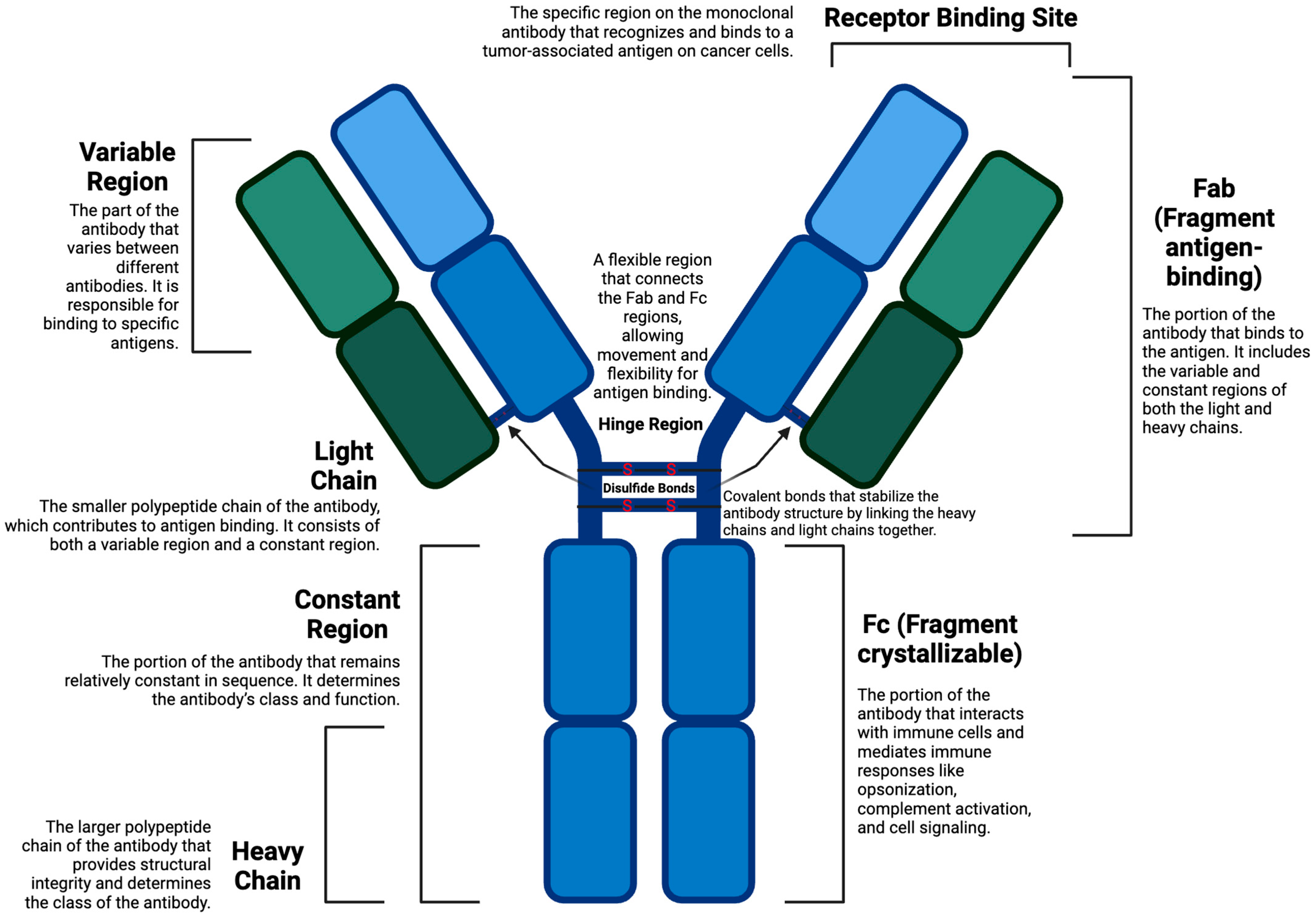 Cancers 17 01792 g005