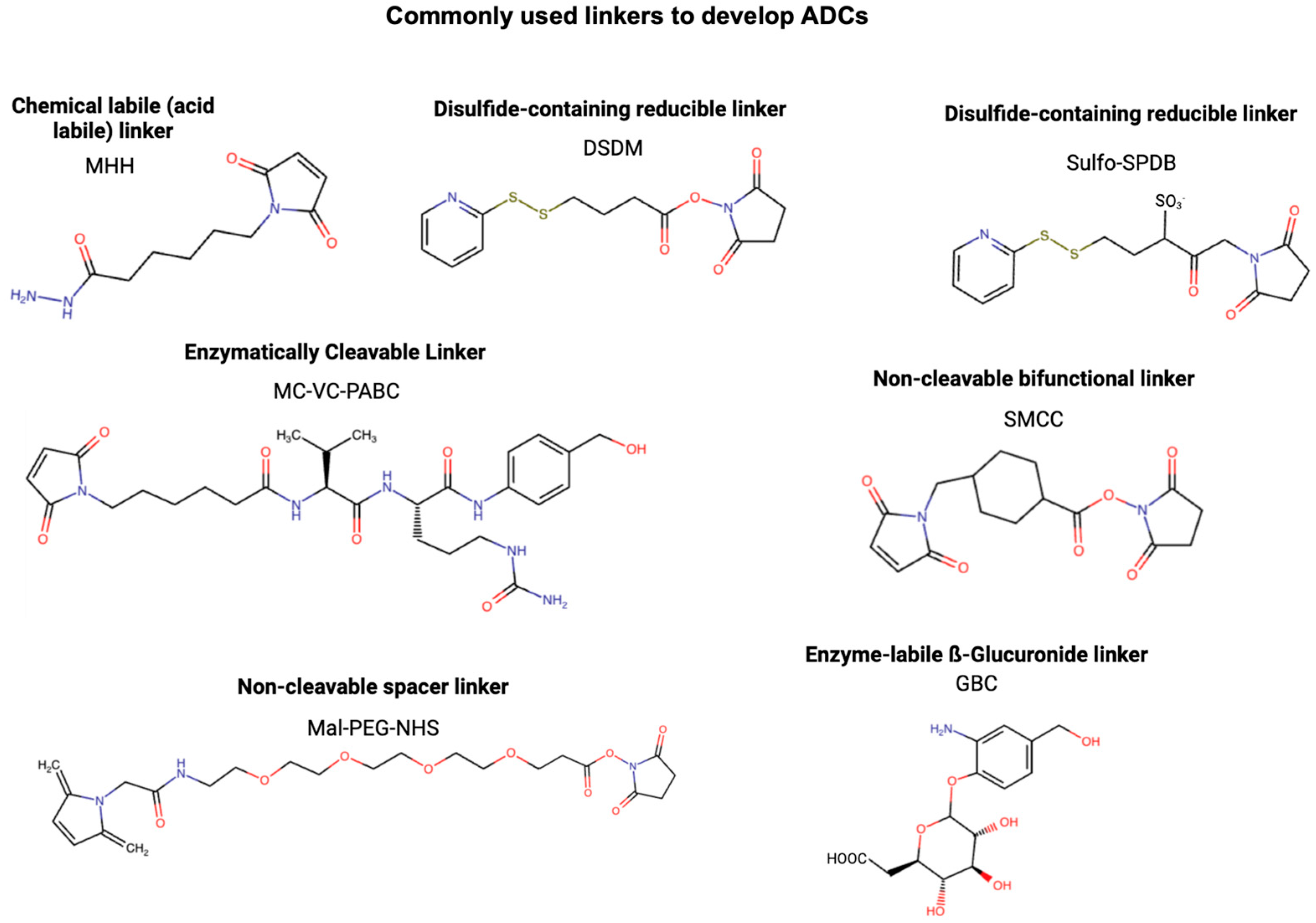 Cancers 17 01792 g006