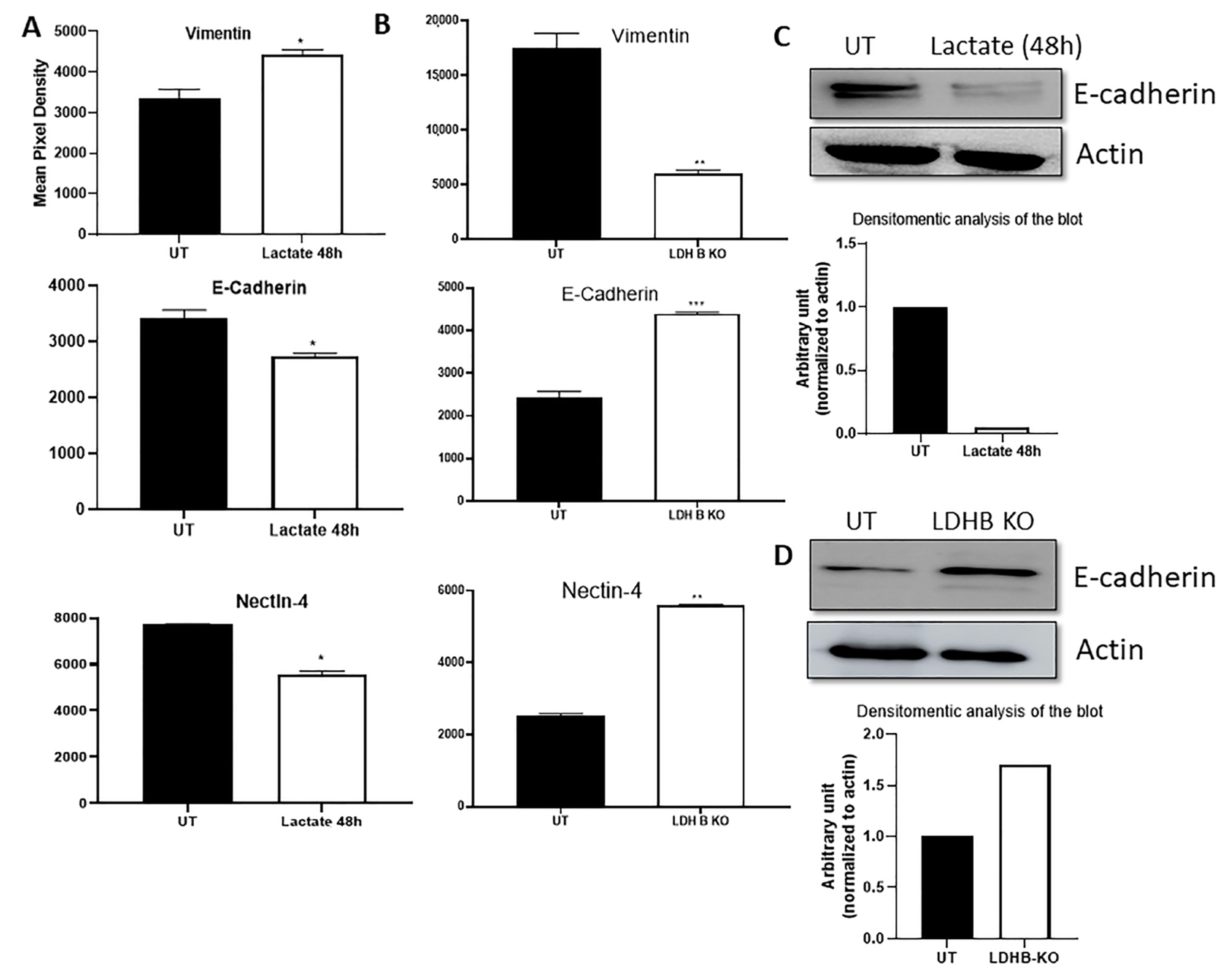 Cancers 17 01793 g003