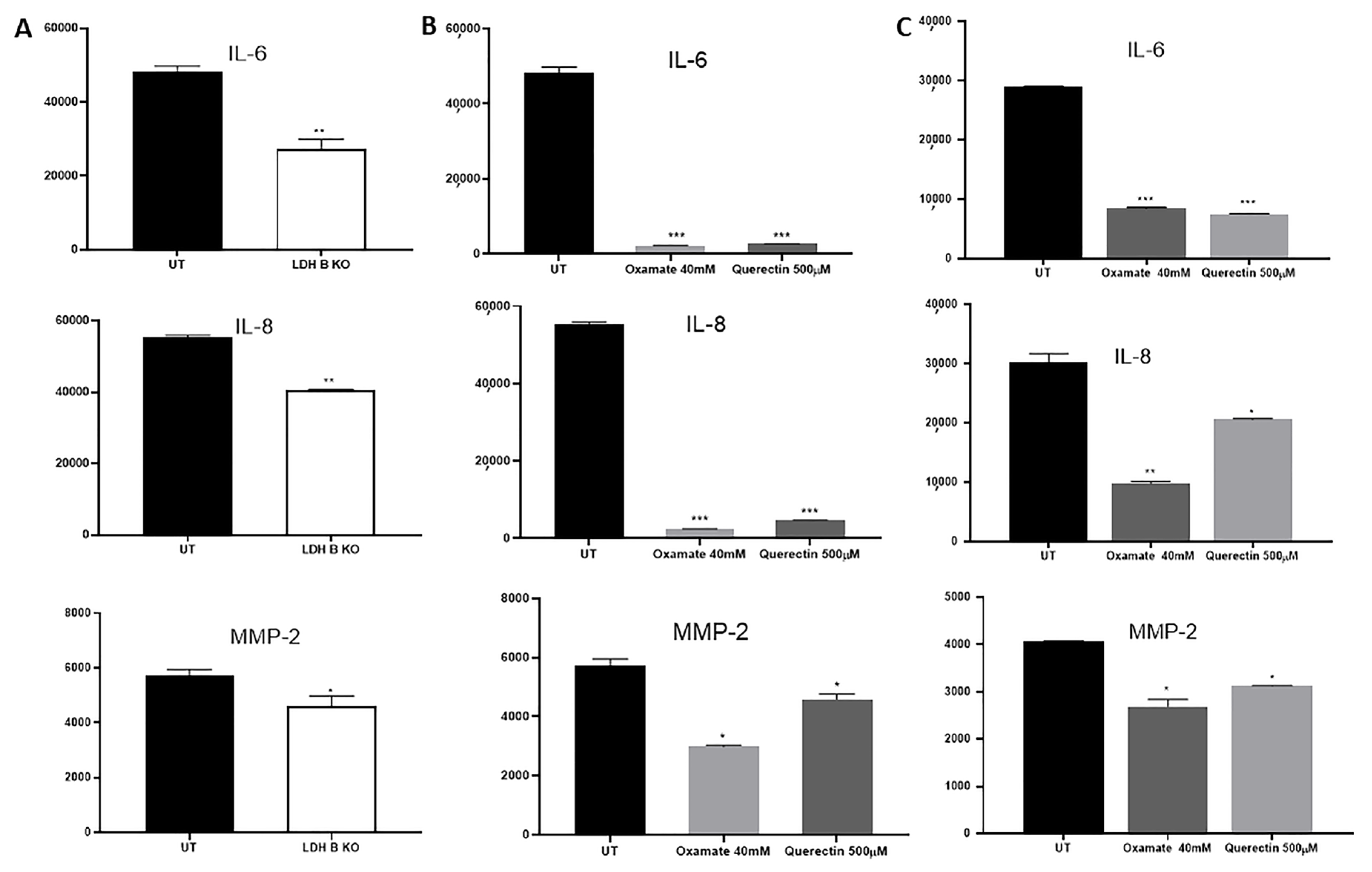 Cancers 17 01793 g004
