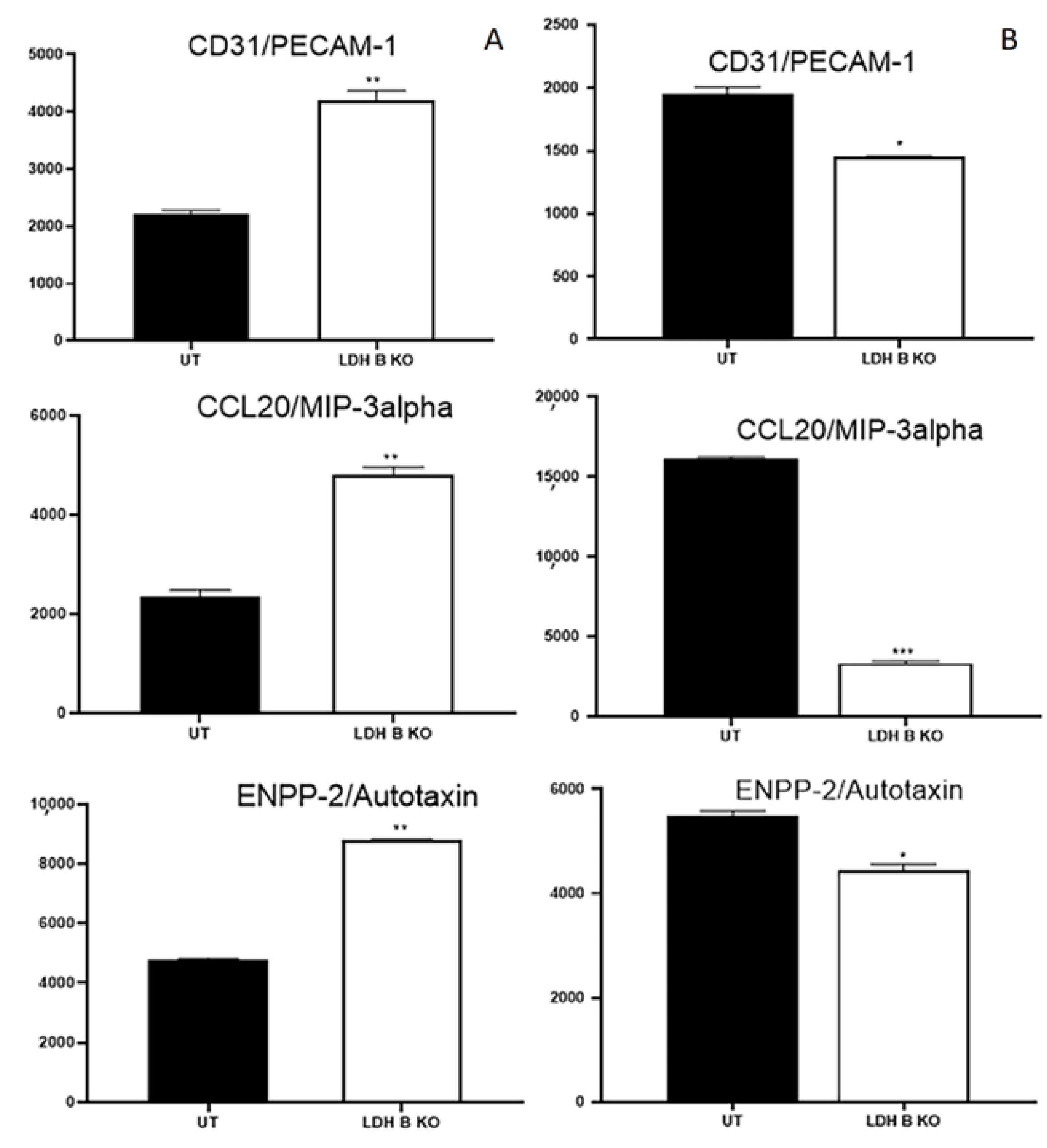Cancers 17 01793 g005