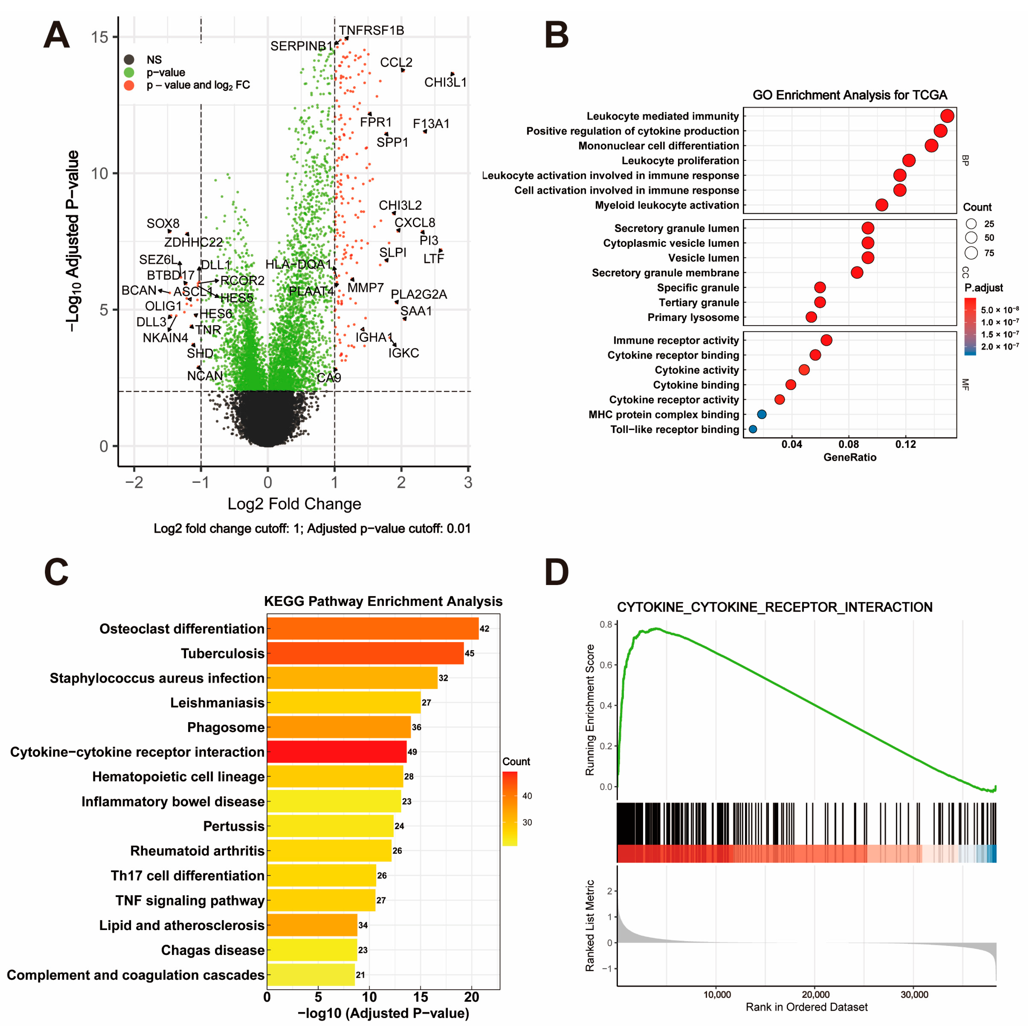 Cancers 17 01799 g003