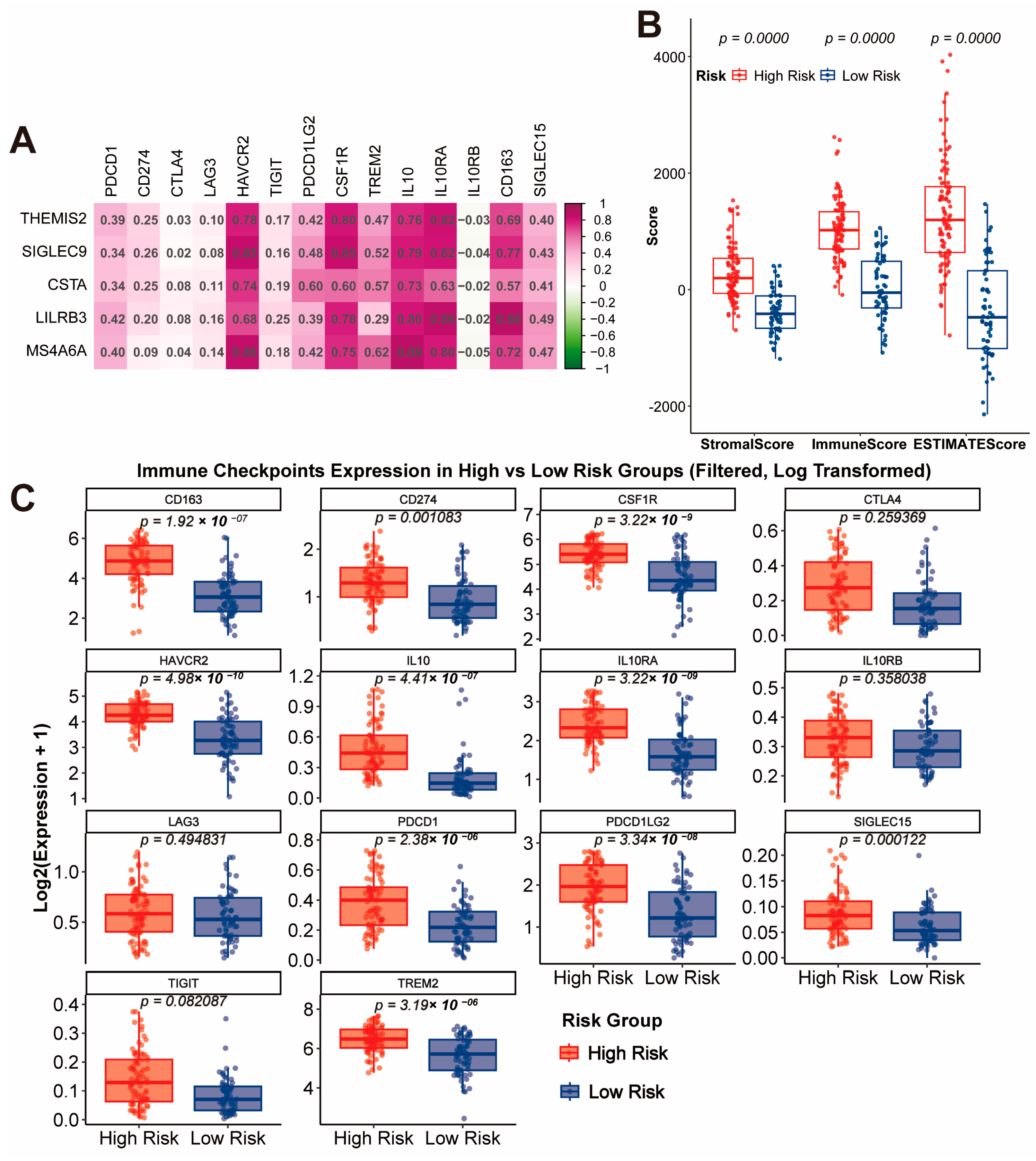 Cancers 17 01799 g004