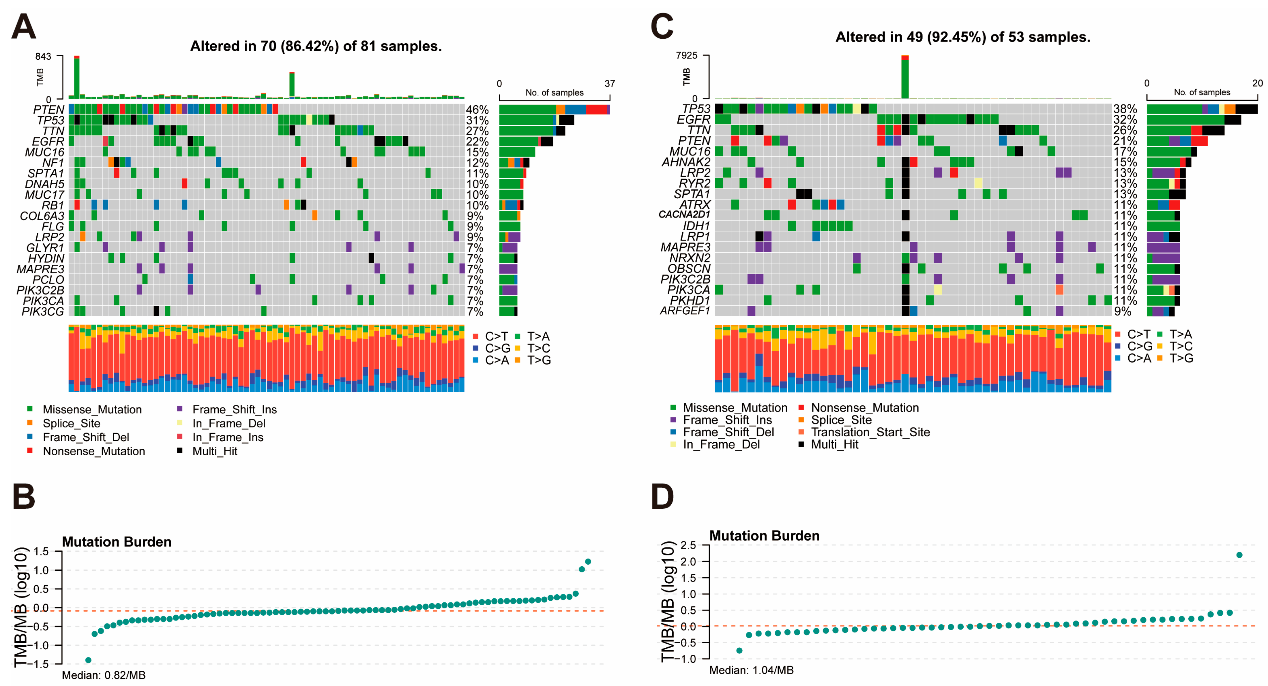 Cancers 17 01799 g005