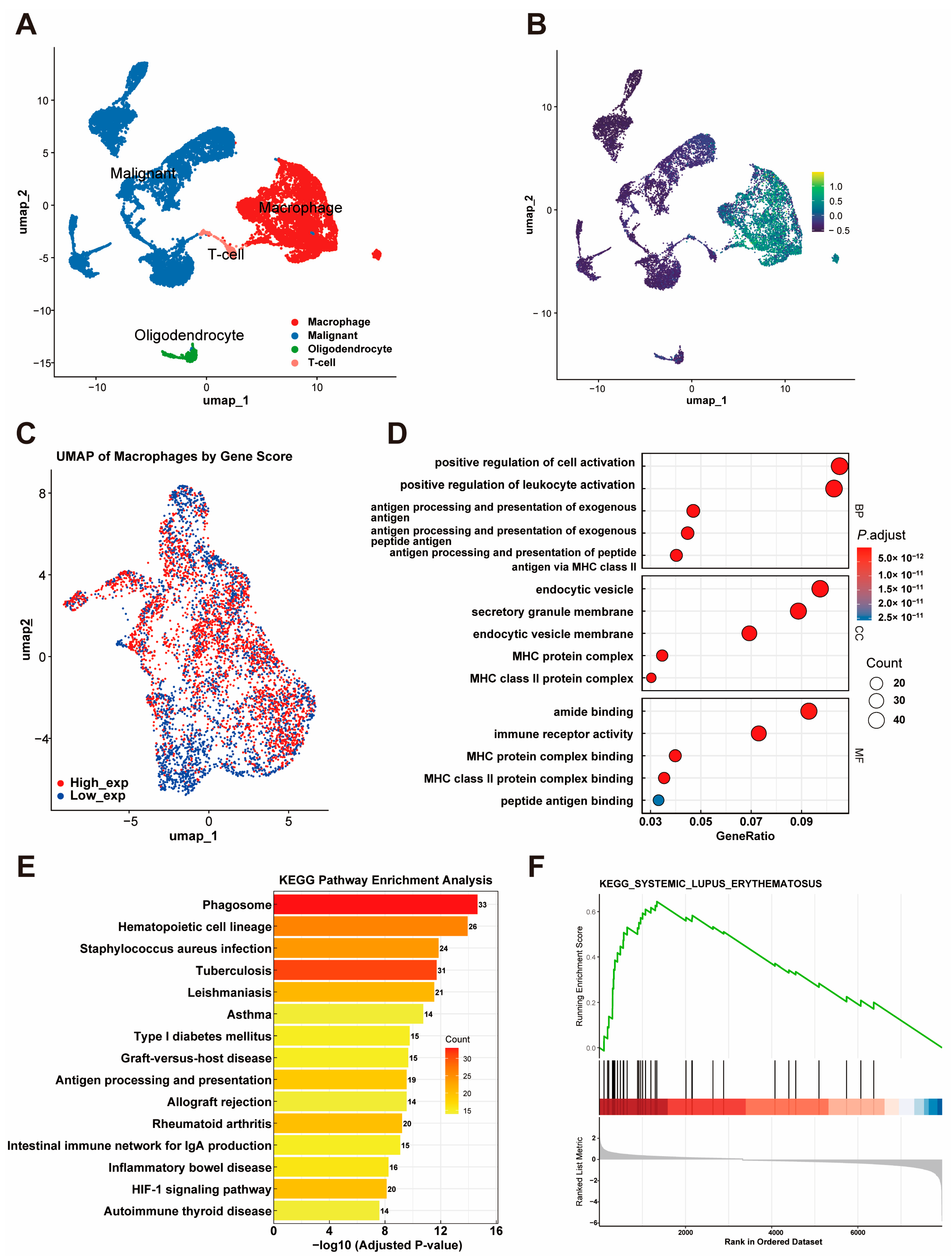 Cancers 17 01799 g006