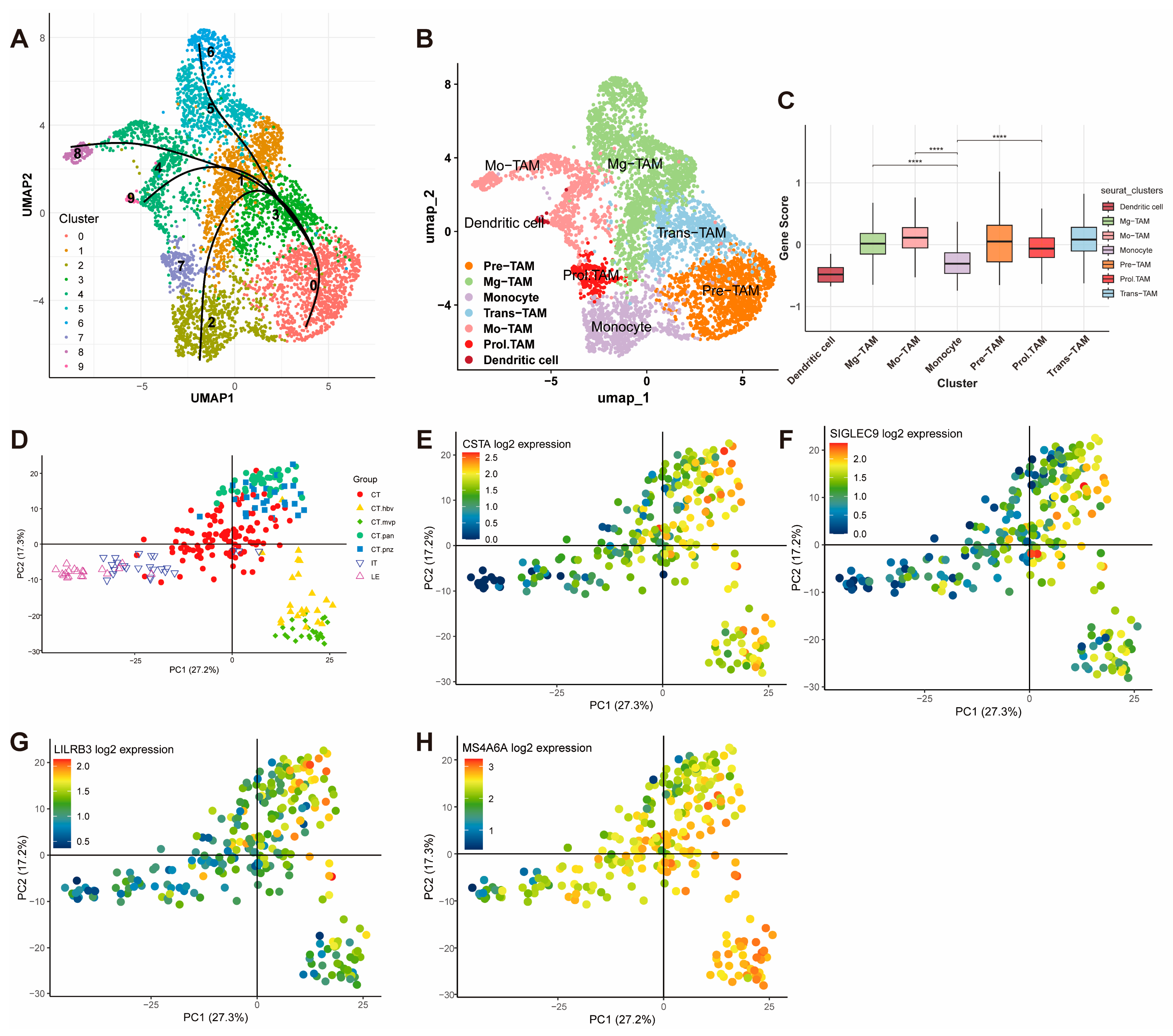 Cancers 17 01799 g007