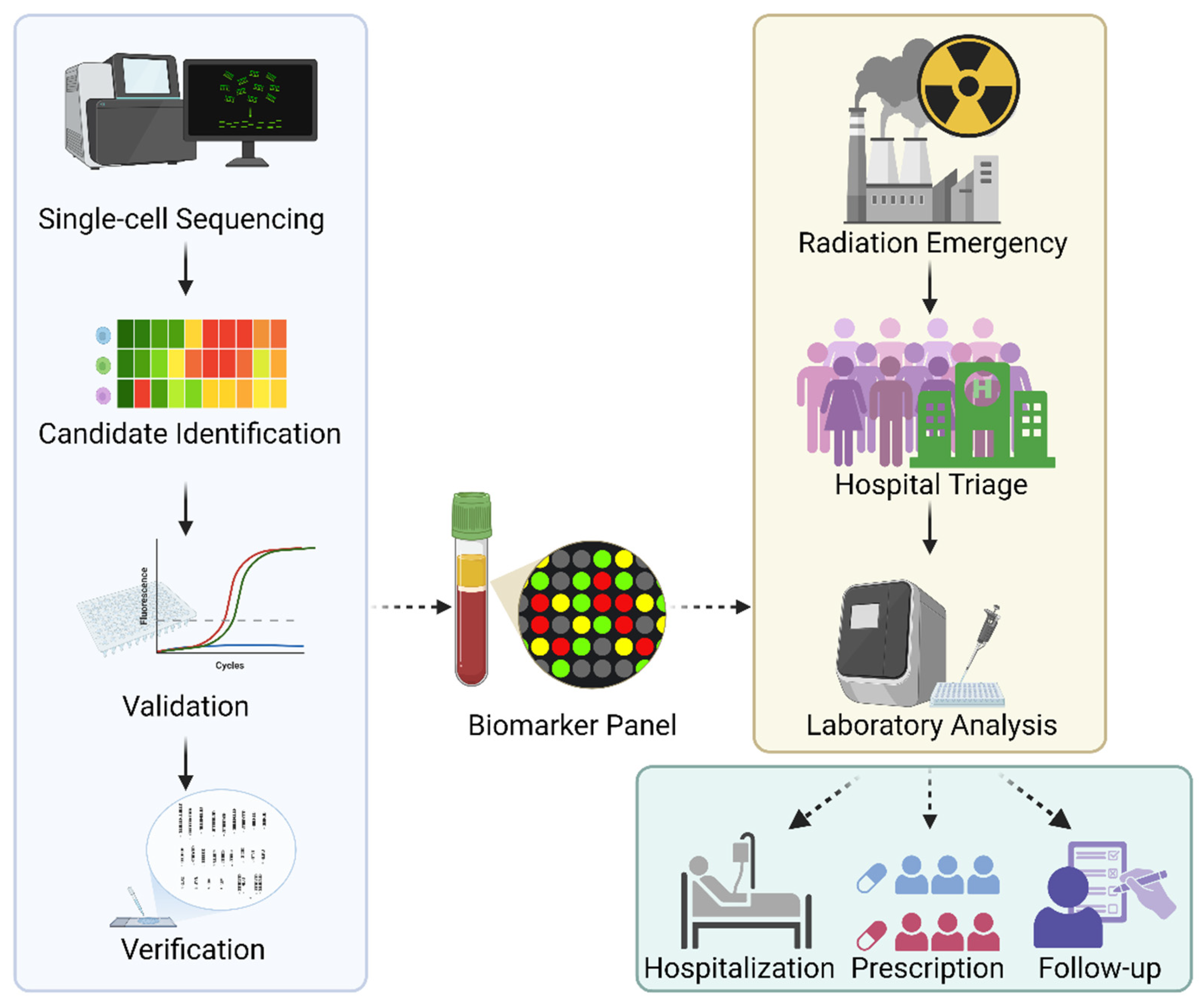 Cancers 17 01801 g002
