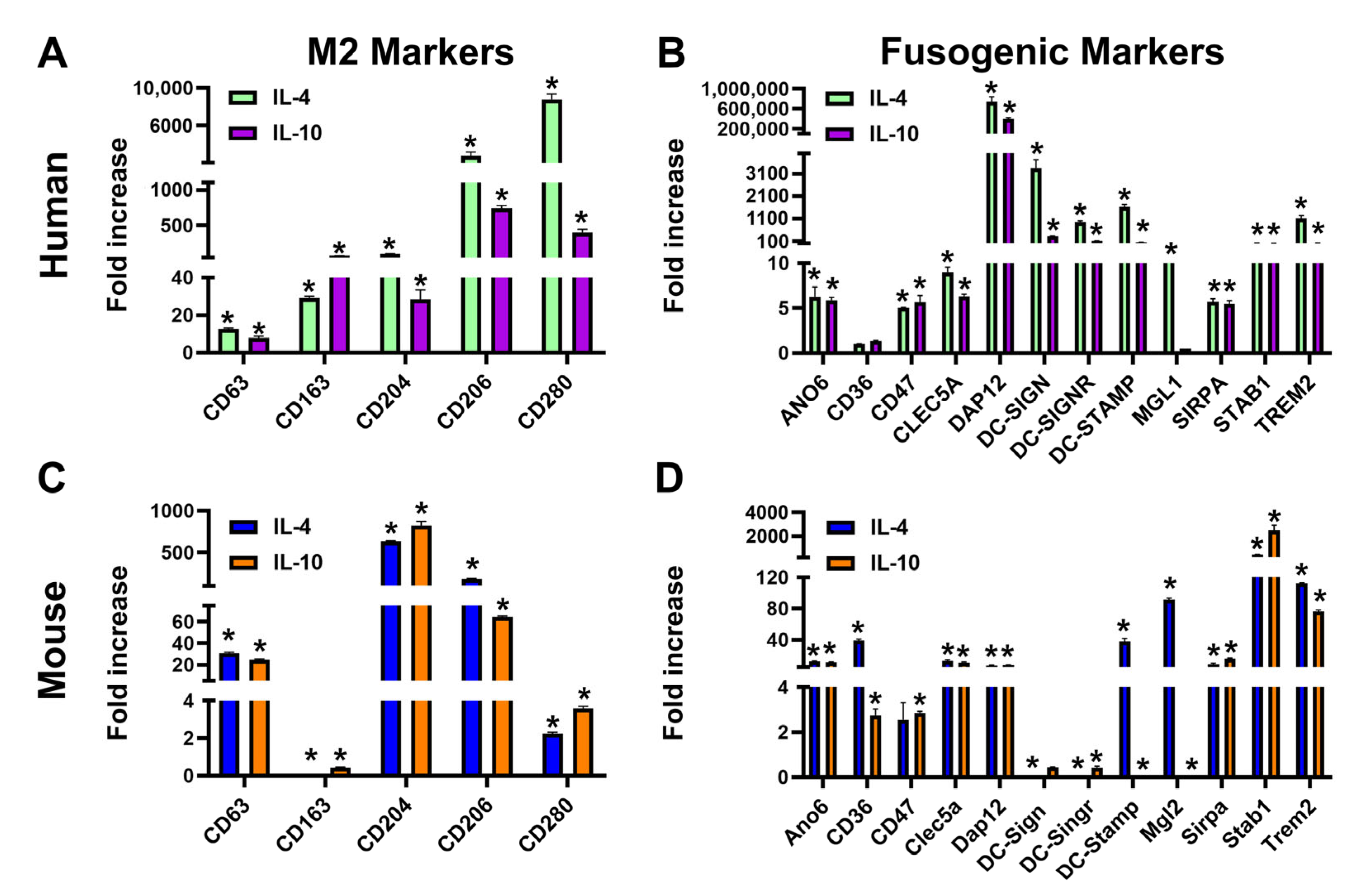Cancers 17 01804 g001