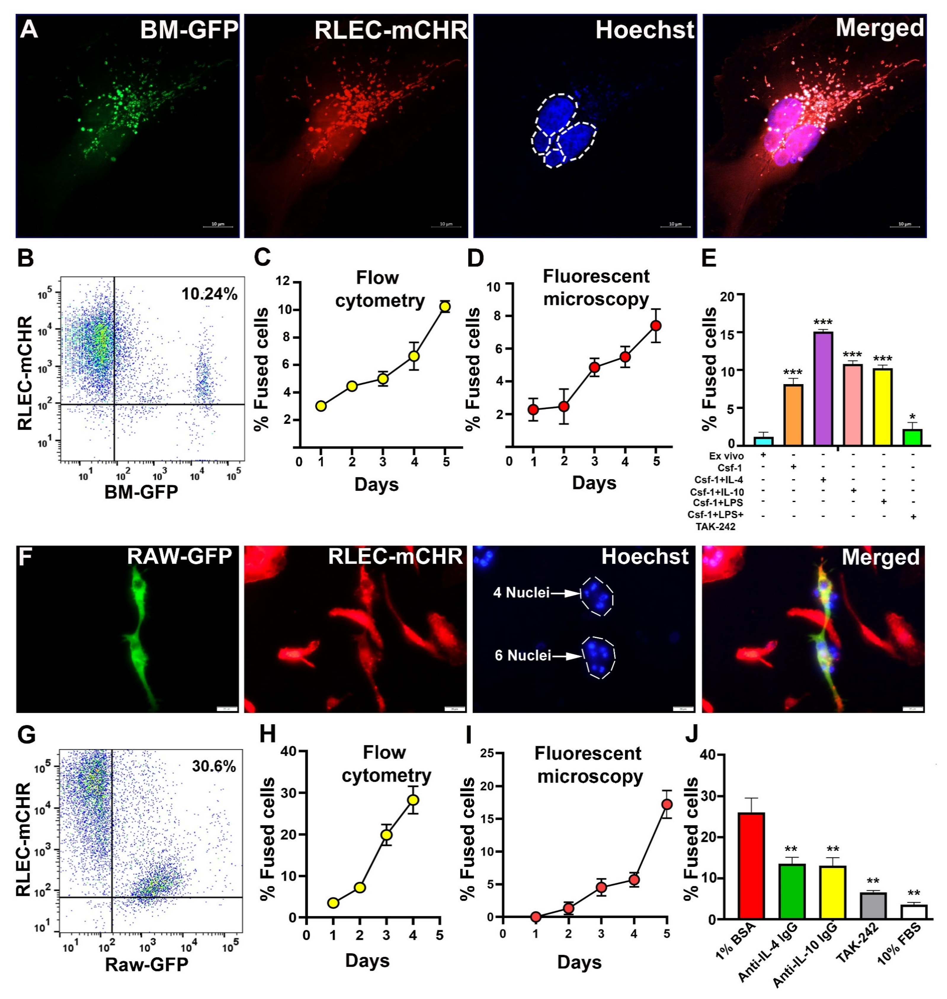 Cancers 17 01804 g005