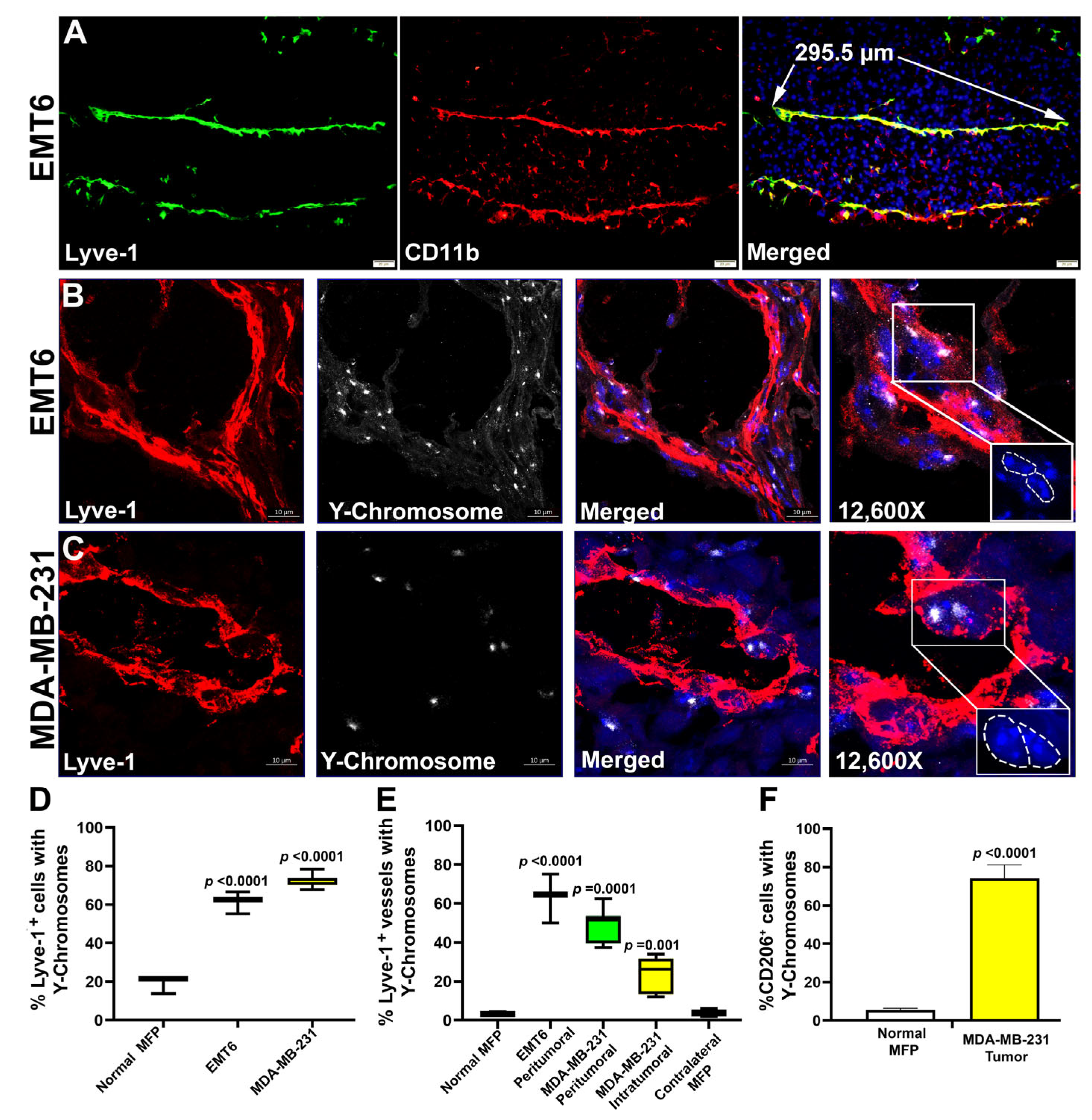 Cancers 17 01804 g006