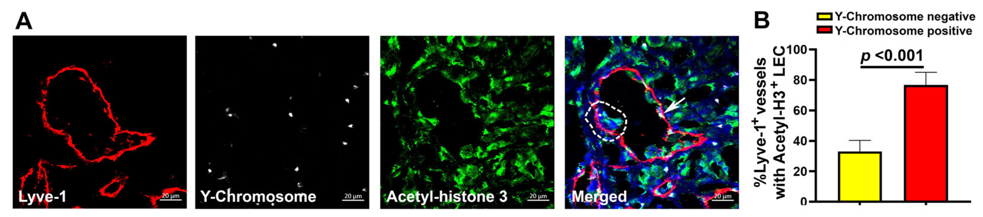 Cancers 17 01804 g007