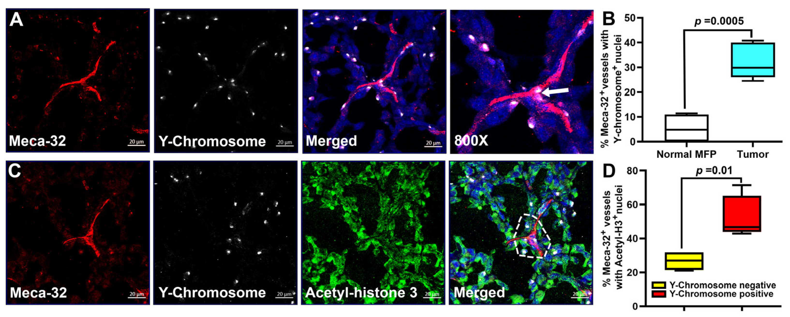 Cancers 17 01804 g008
