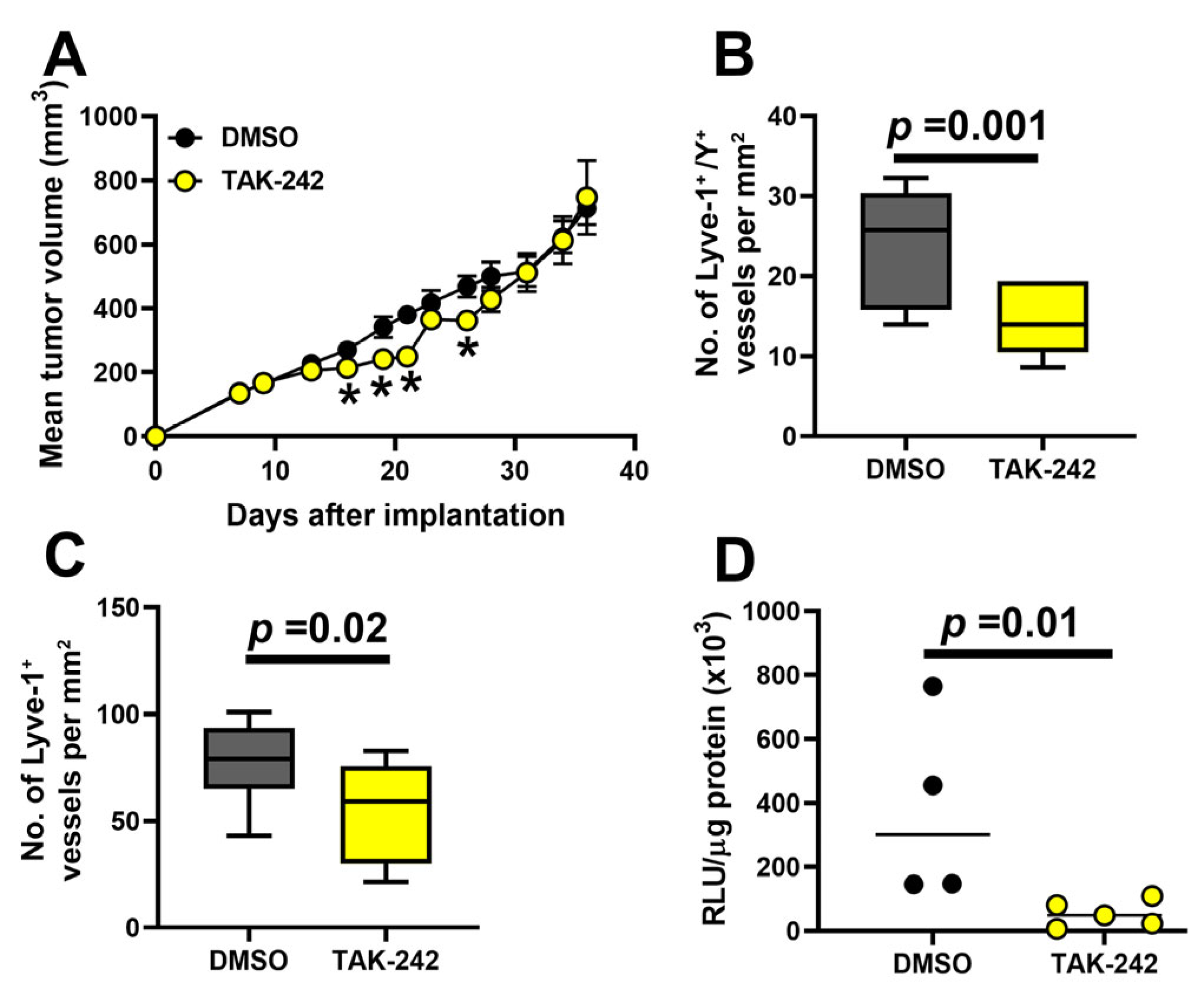Cancers 17 01804 g009