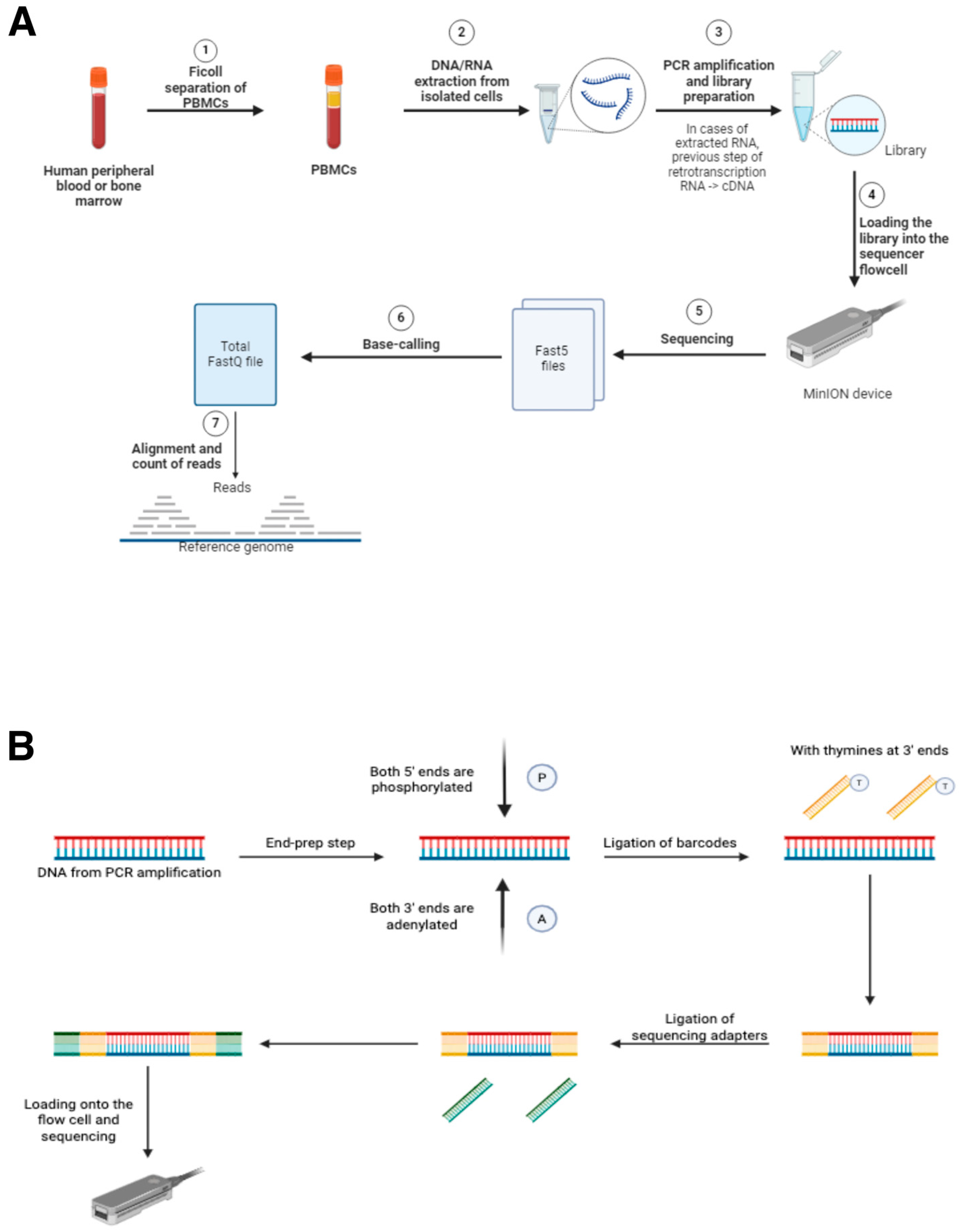 Cancers 17 01811 g001