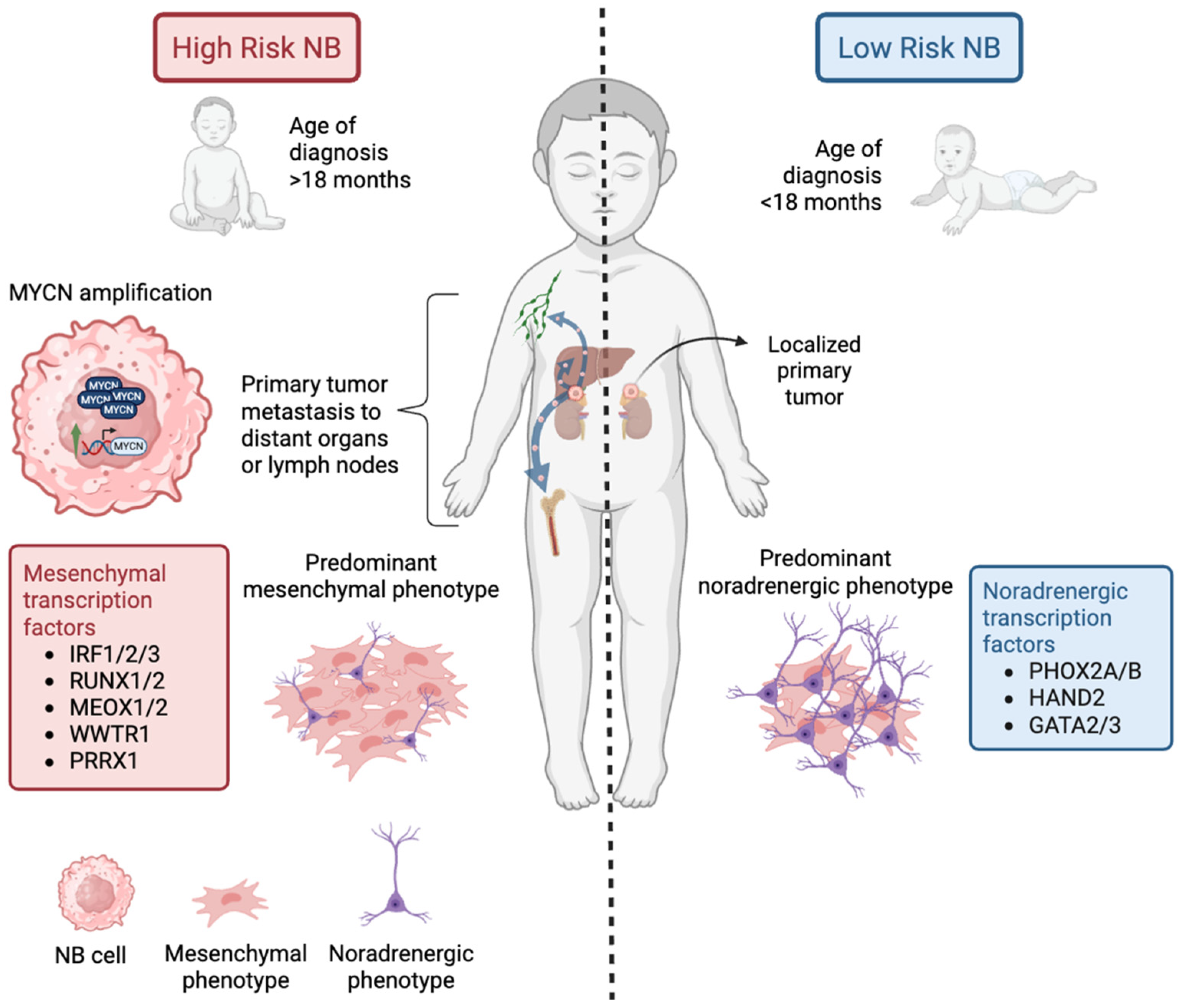 Cancers 17 01812 g001