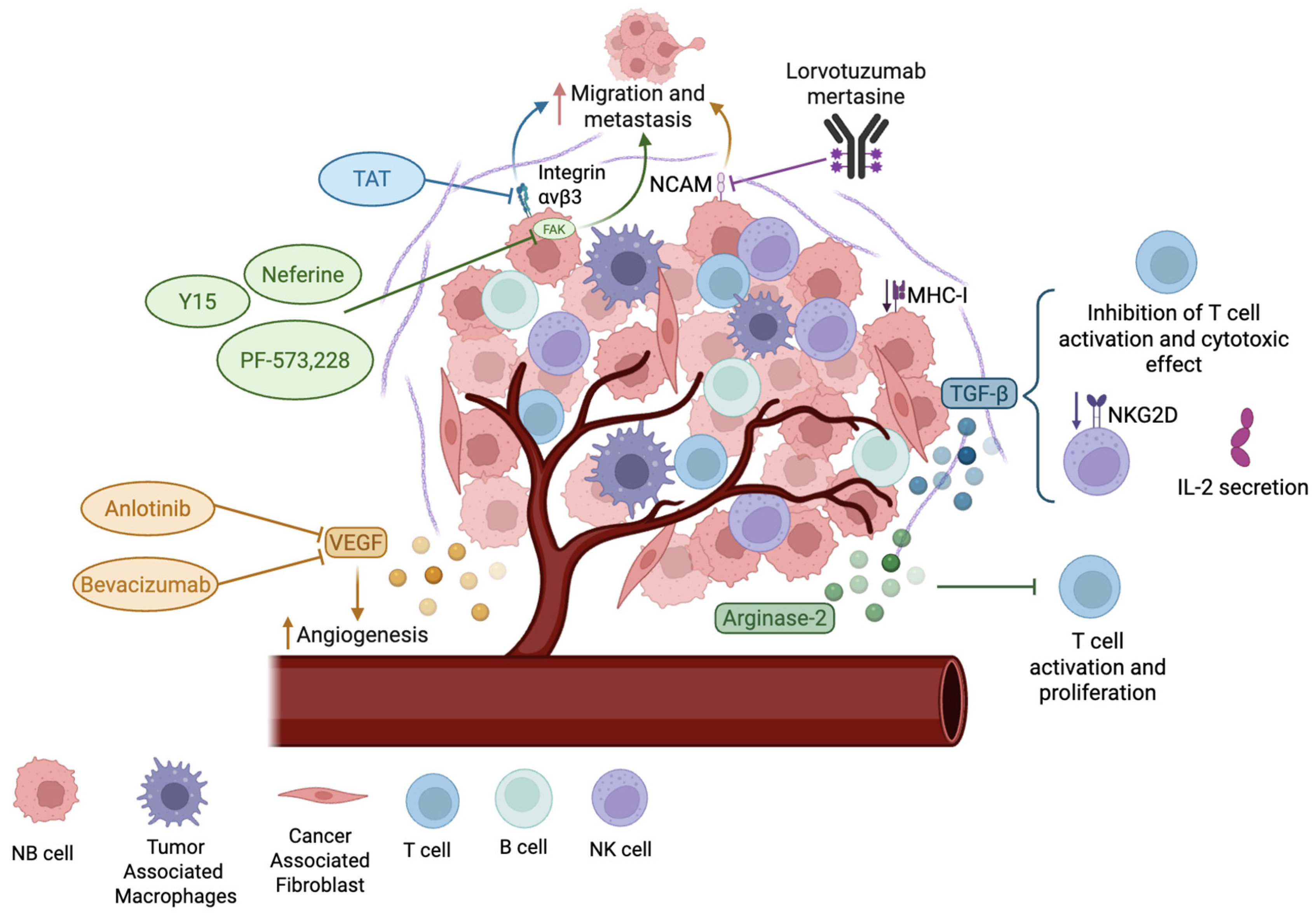 Cancers 17 01812 g003