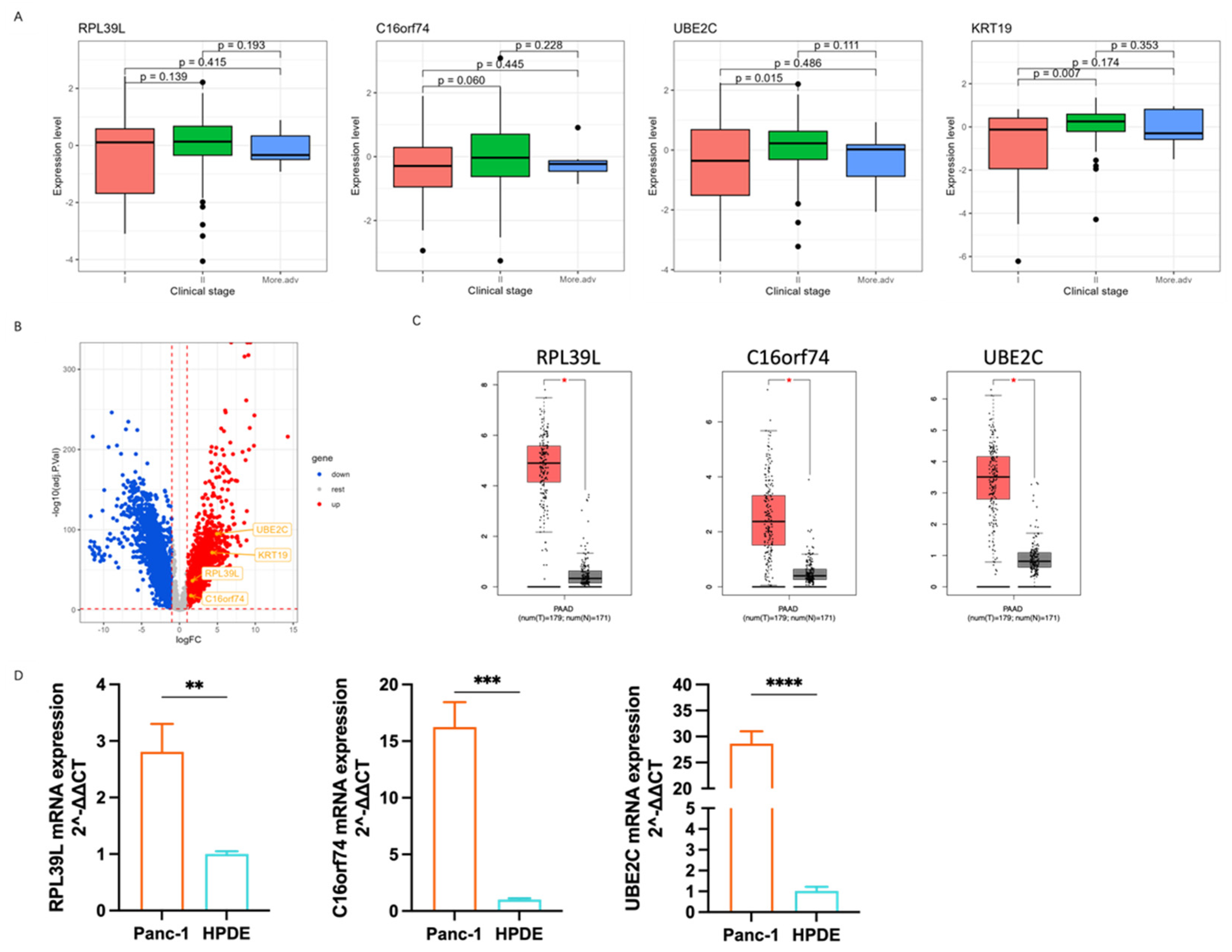 Cancers 17 01813 g004
