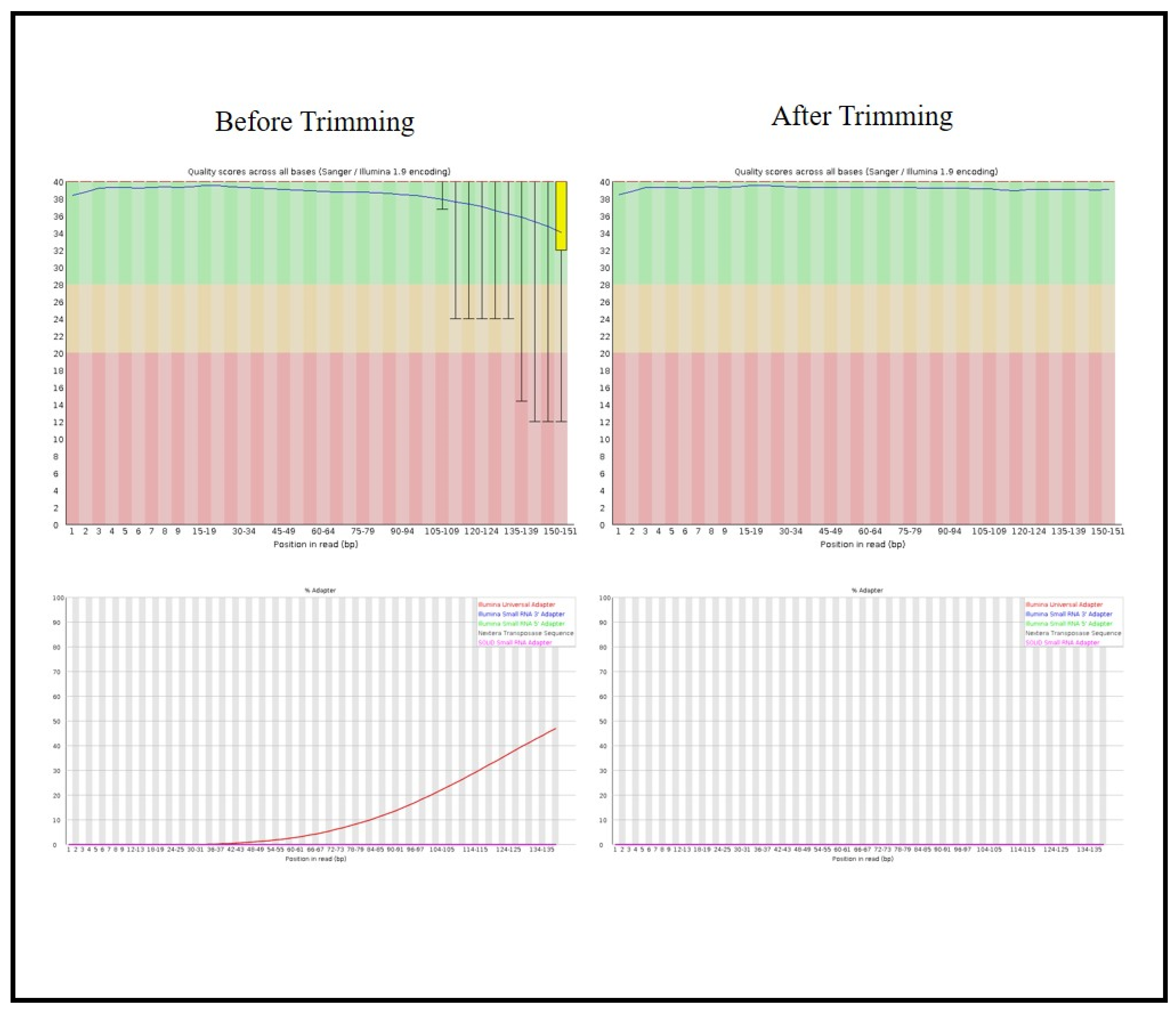 Cancers 17 01818 g001