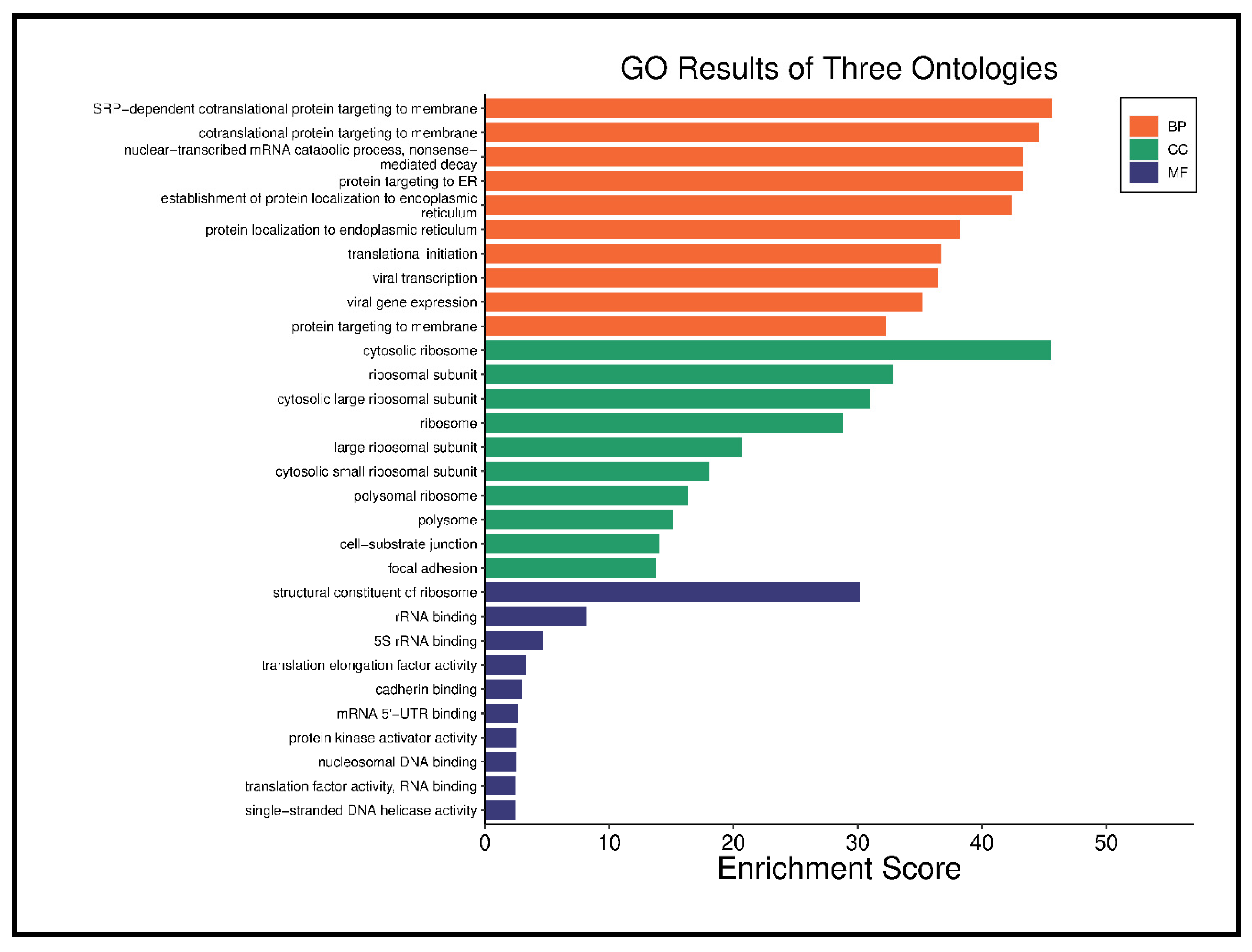 Cancers 17 01818 g007