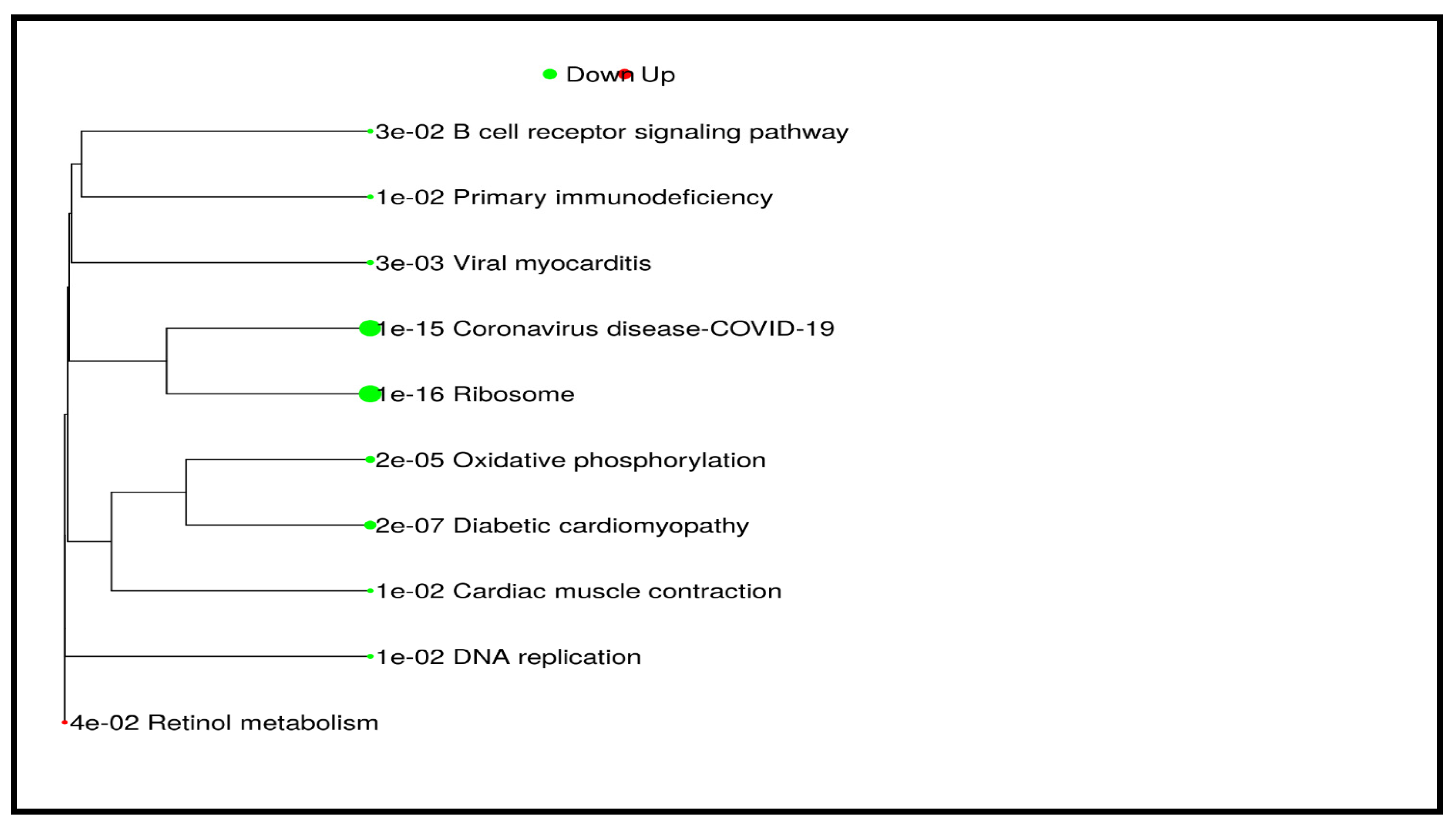 Cancers 17 01818 g008