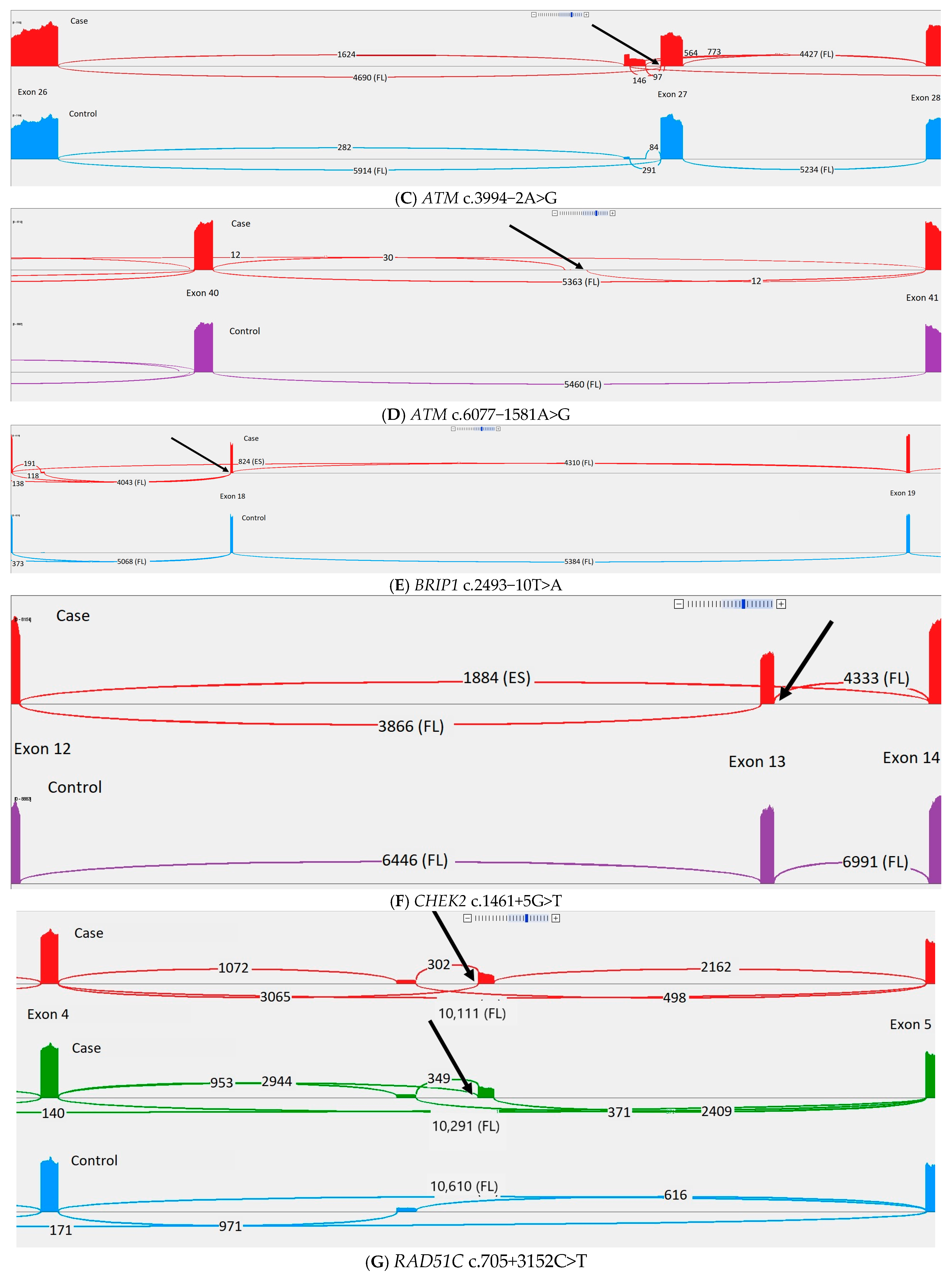 Cancers 17 01819 g003b