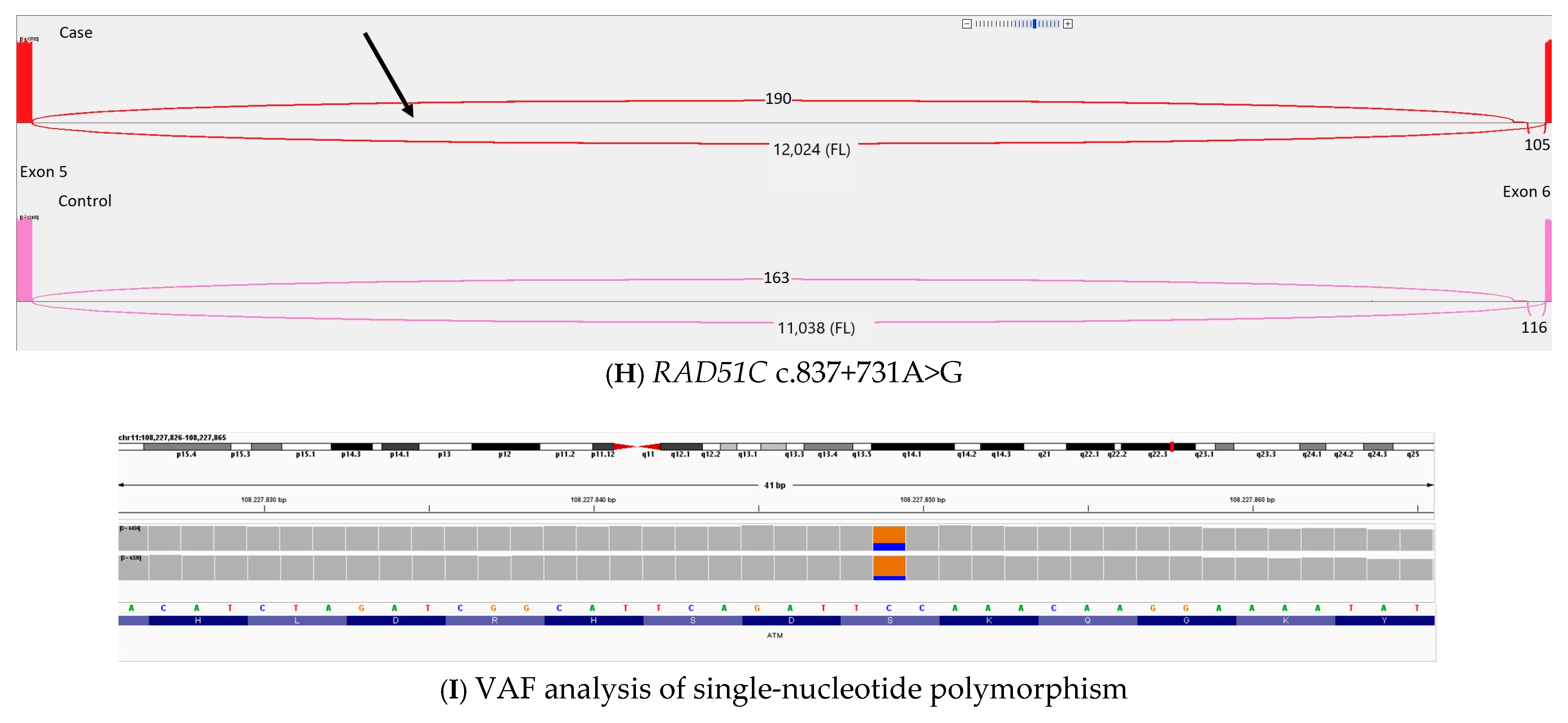 Cancers 17 01819 g003c