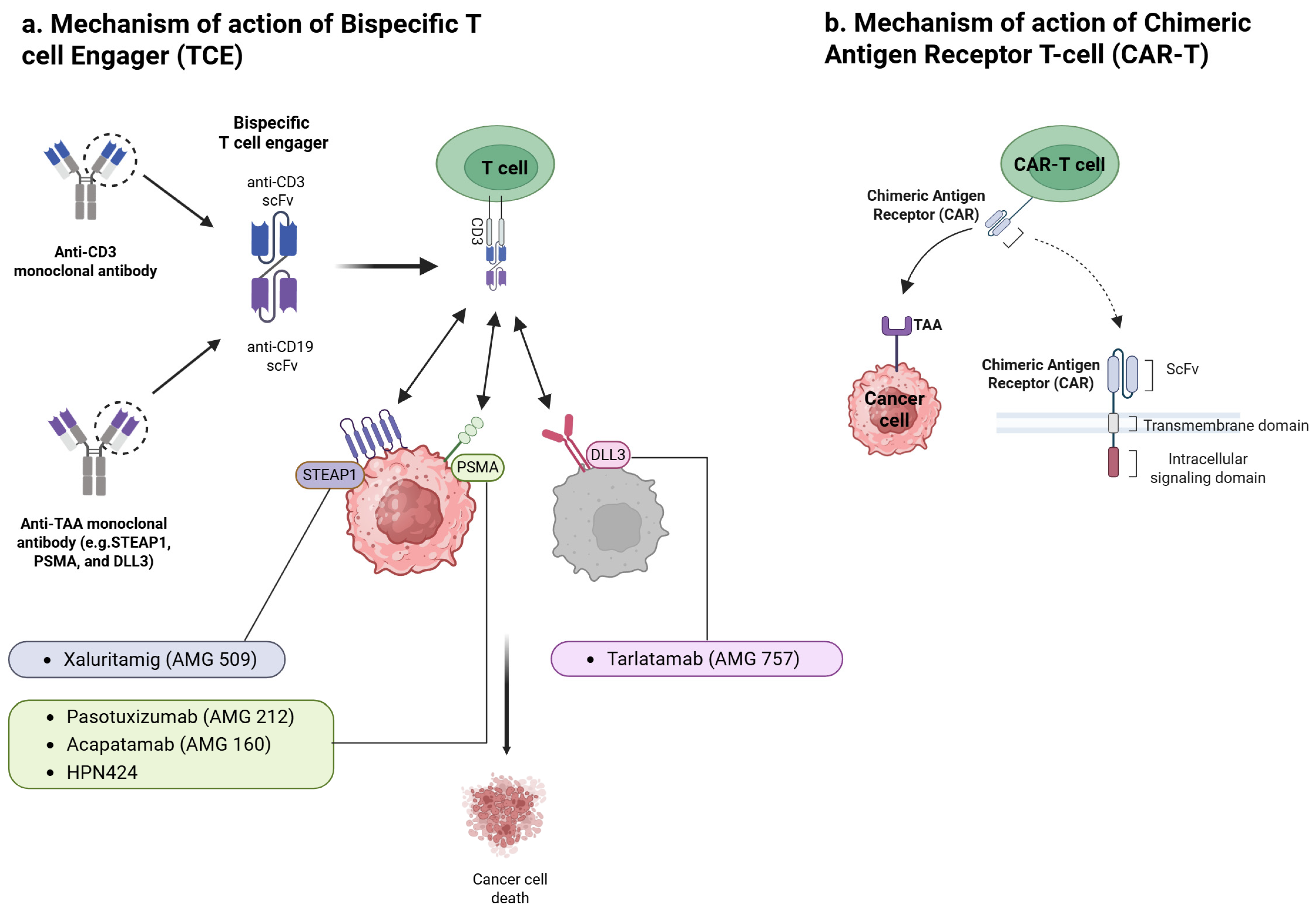 Cancers 17 01820 g001